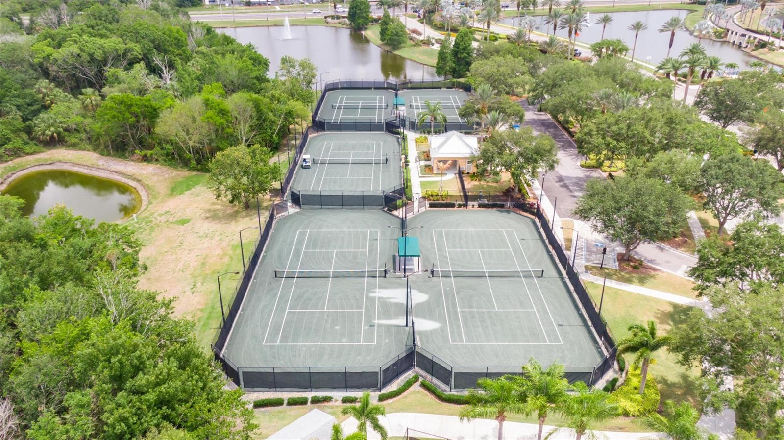 513 MANNS HARBOR DR, APOLLO BEACH, FL — photo 84