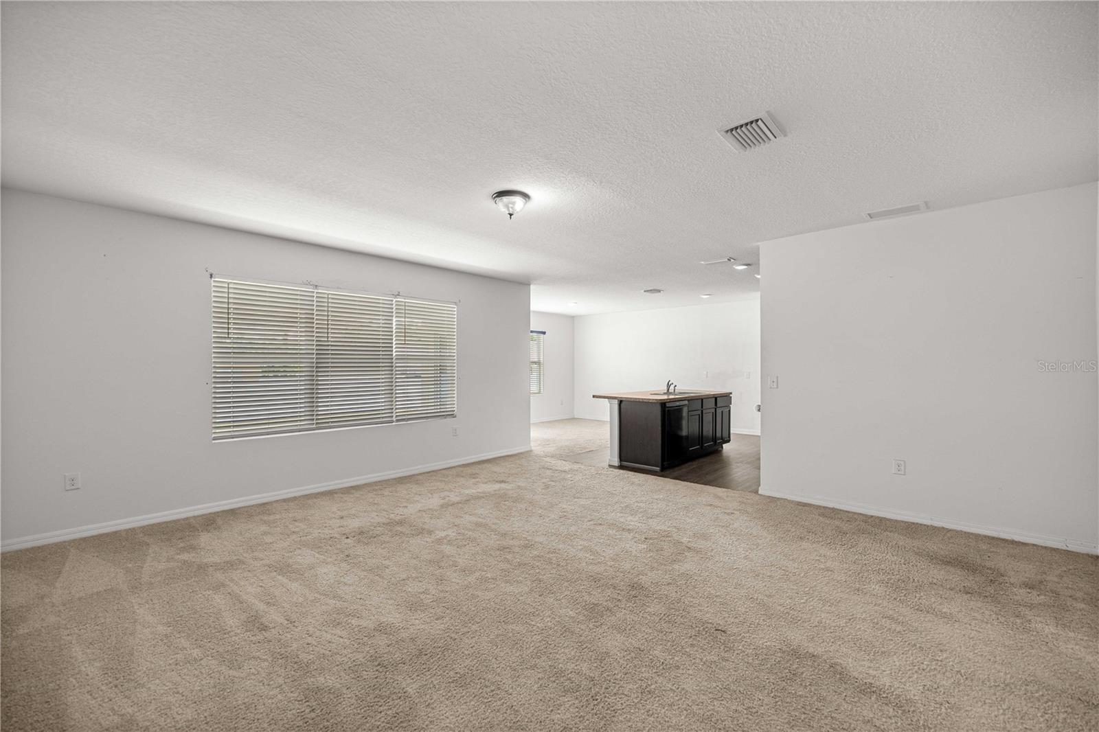 3902 SE 99TH ST, BELLEVIEW, FL — photo 8