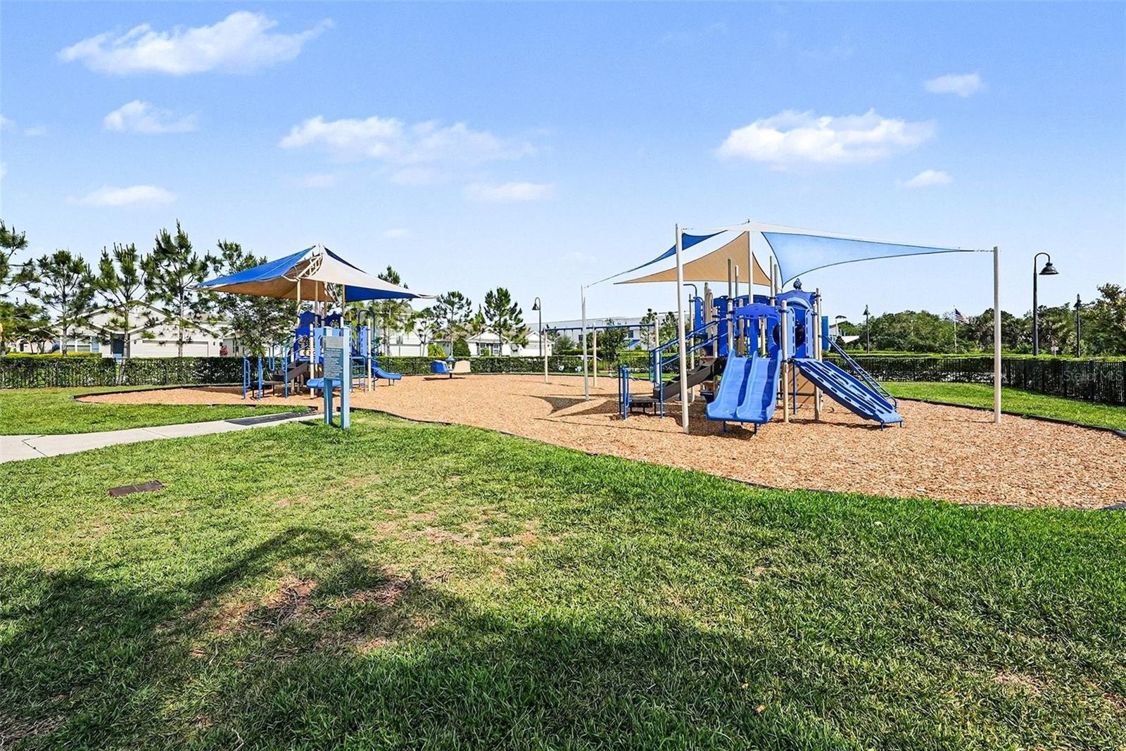 16180 GLOWING GROVE AVE, ODESSA, FL — photo 29