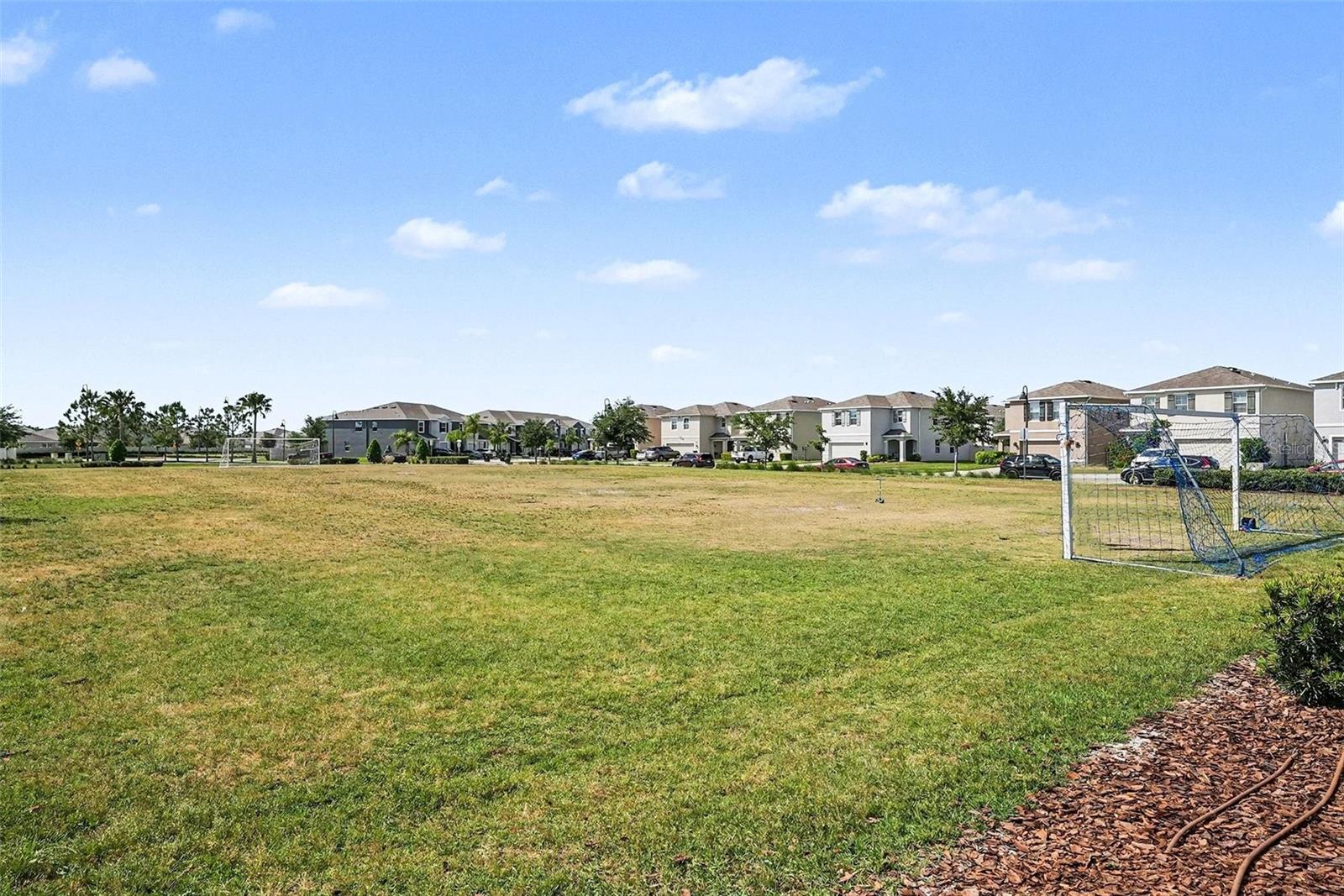 16180 GLOWING GROVE AVE, ODESSA, FL — photo 32