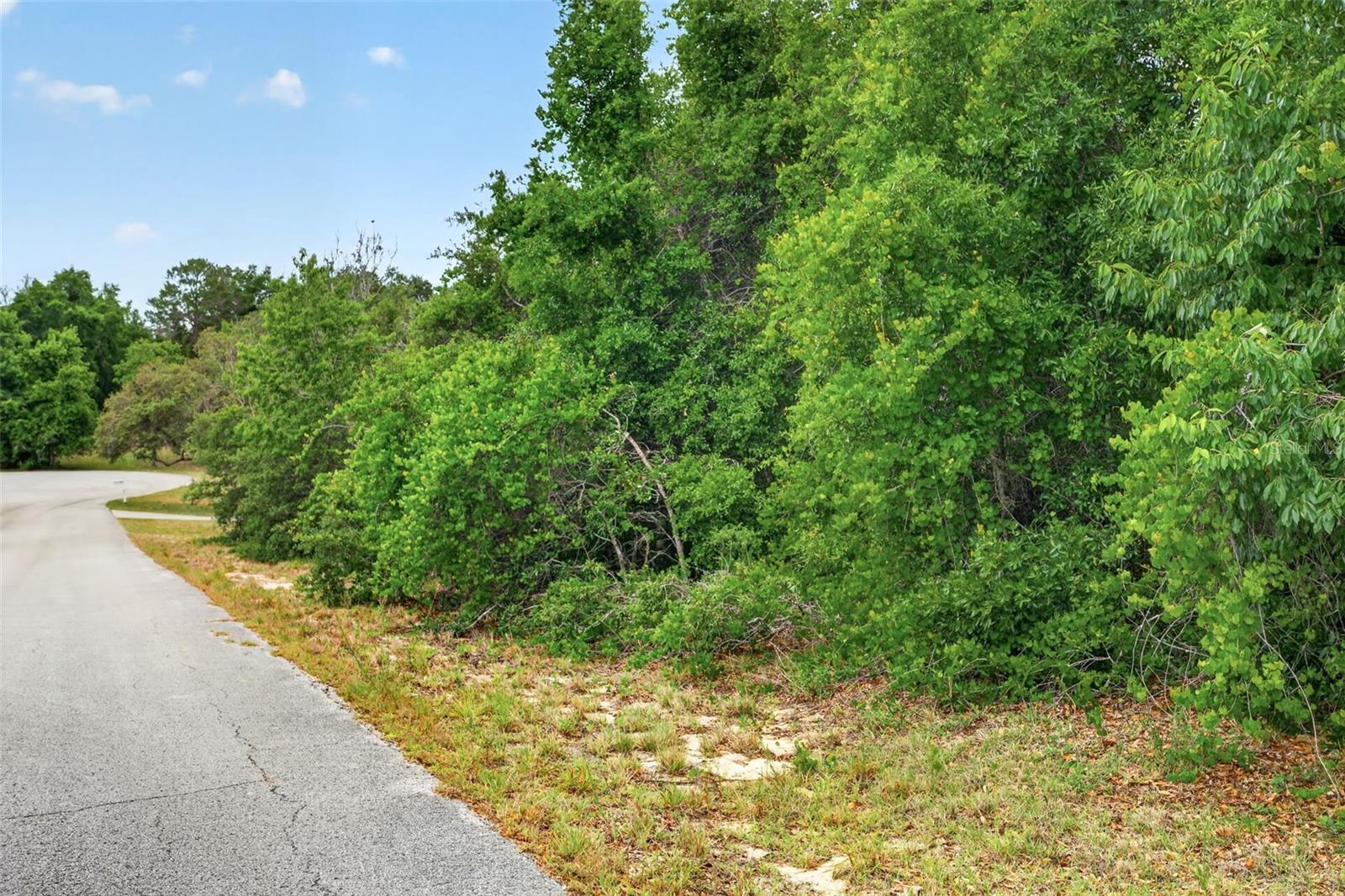 1642 S VALERIE PT, INVERNESS, FL — photo 2