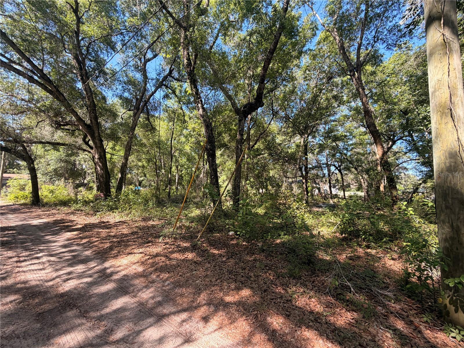 10185 CREEKFIELD RD, BROOKSVILLE, FL — photo 2
