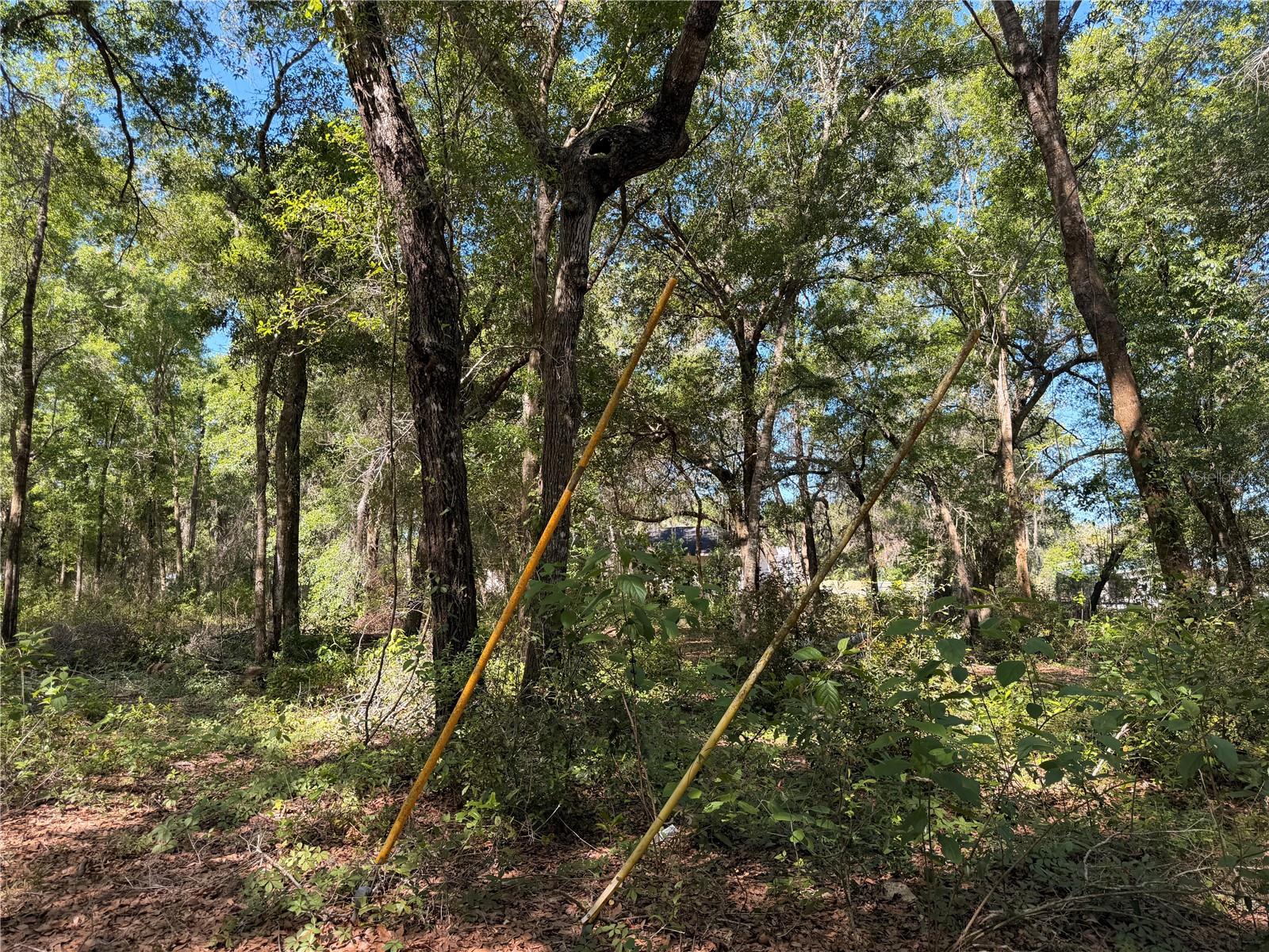 10185 CREEKFIELD RD, BROOKSVILLE, FL — photo 3