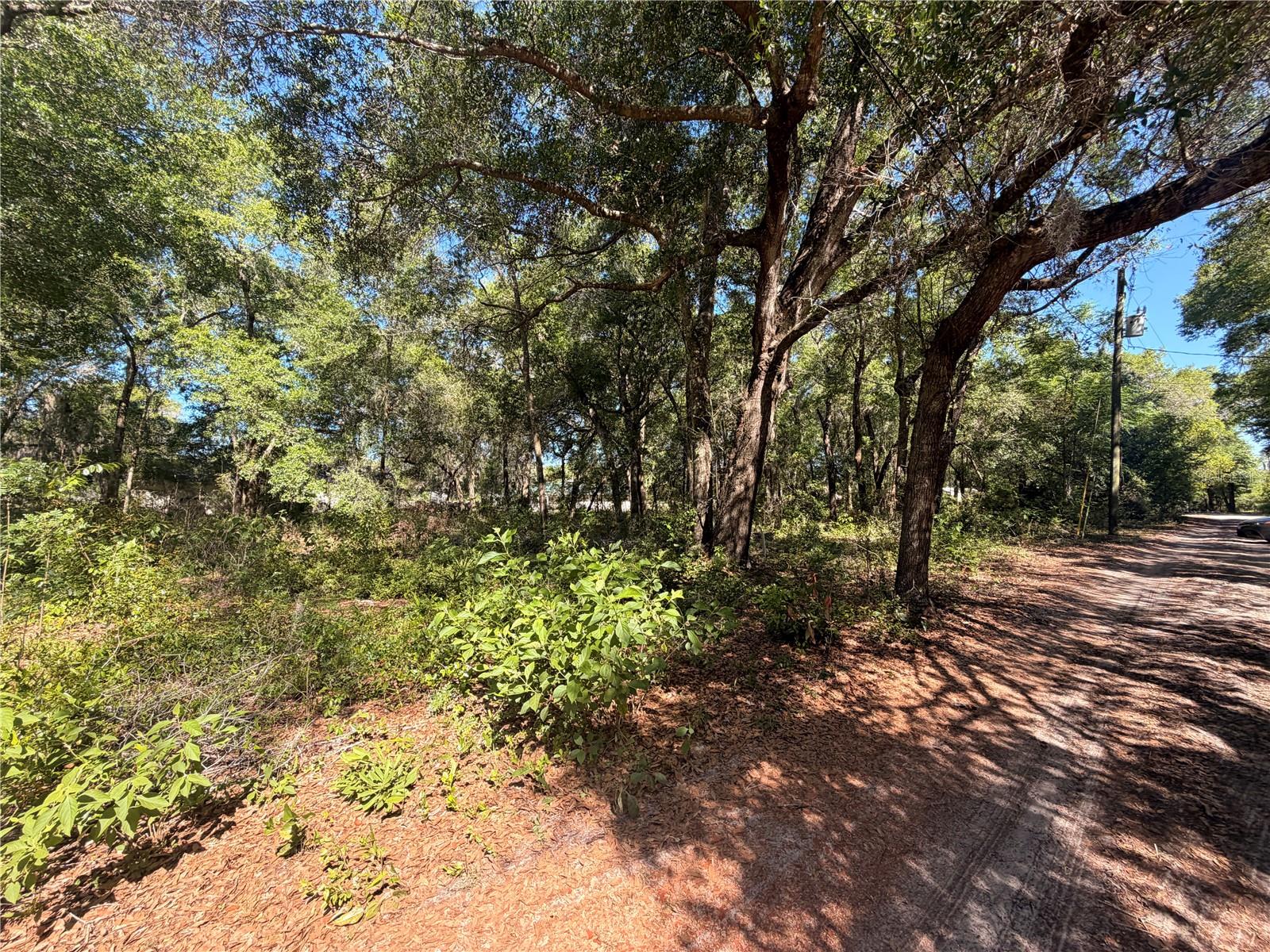 10185 CREEKFIELD RD, BROOKSVILLE, FL — photo 4