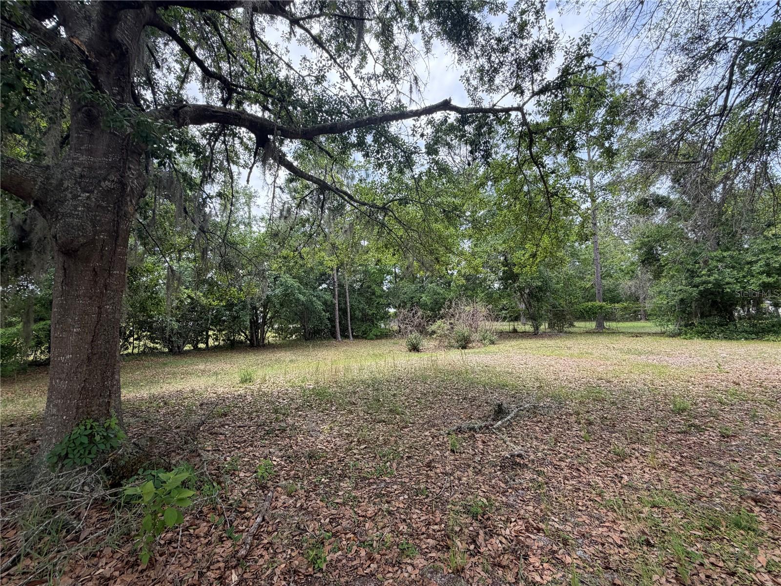 24138 PANTHER RD, ASTOR, FL — photo 16