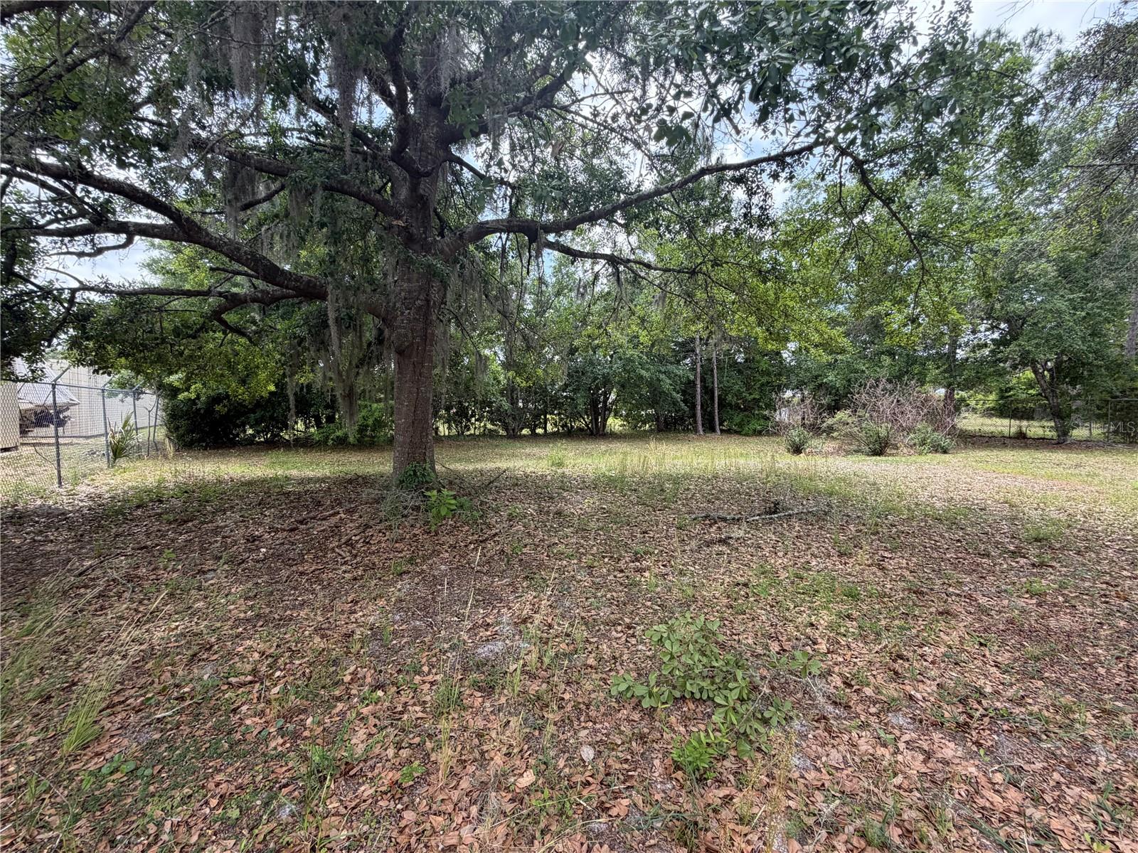 24138 PANTHER RD, ASTOR, FL — photo 17
