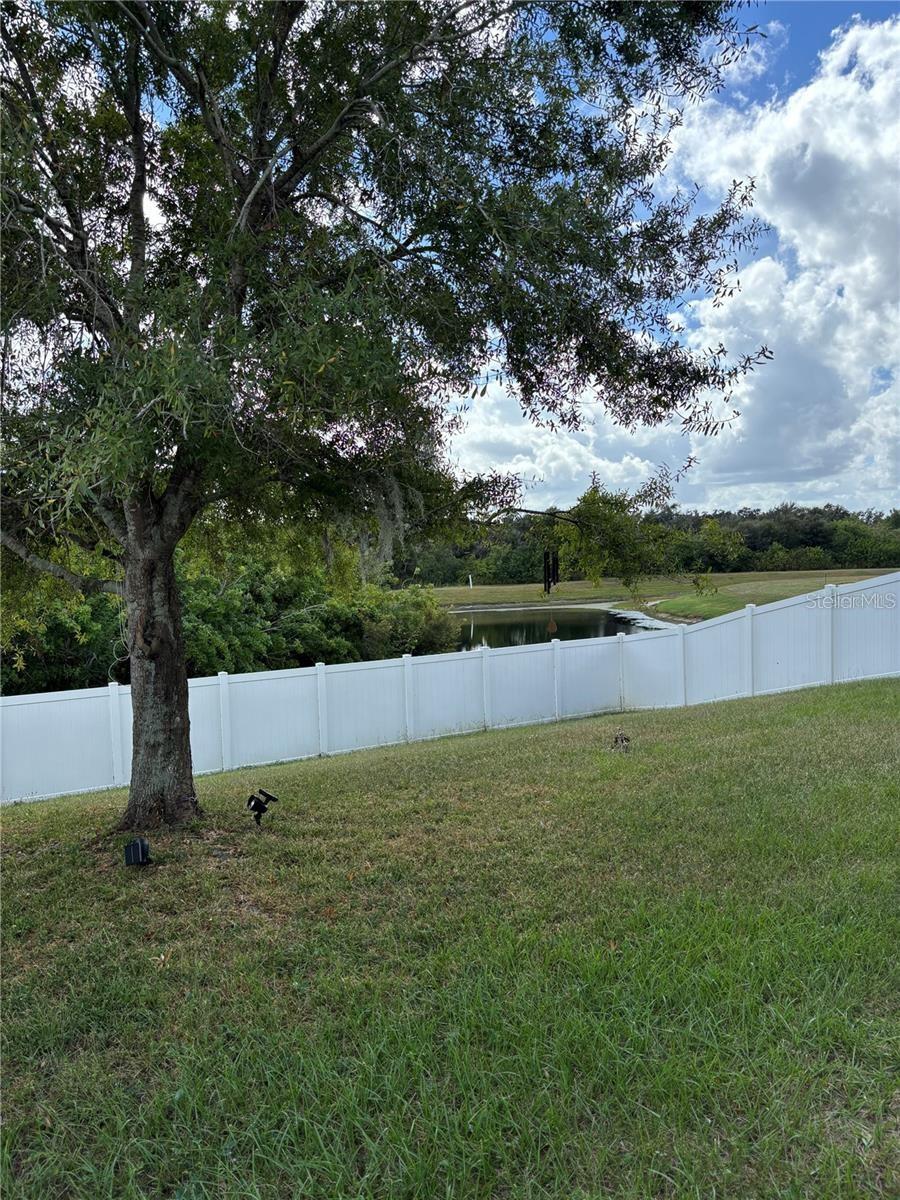 10742 SHADY PRESERVE DR, RIVERVIEW, FL — photo 4