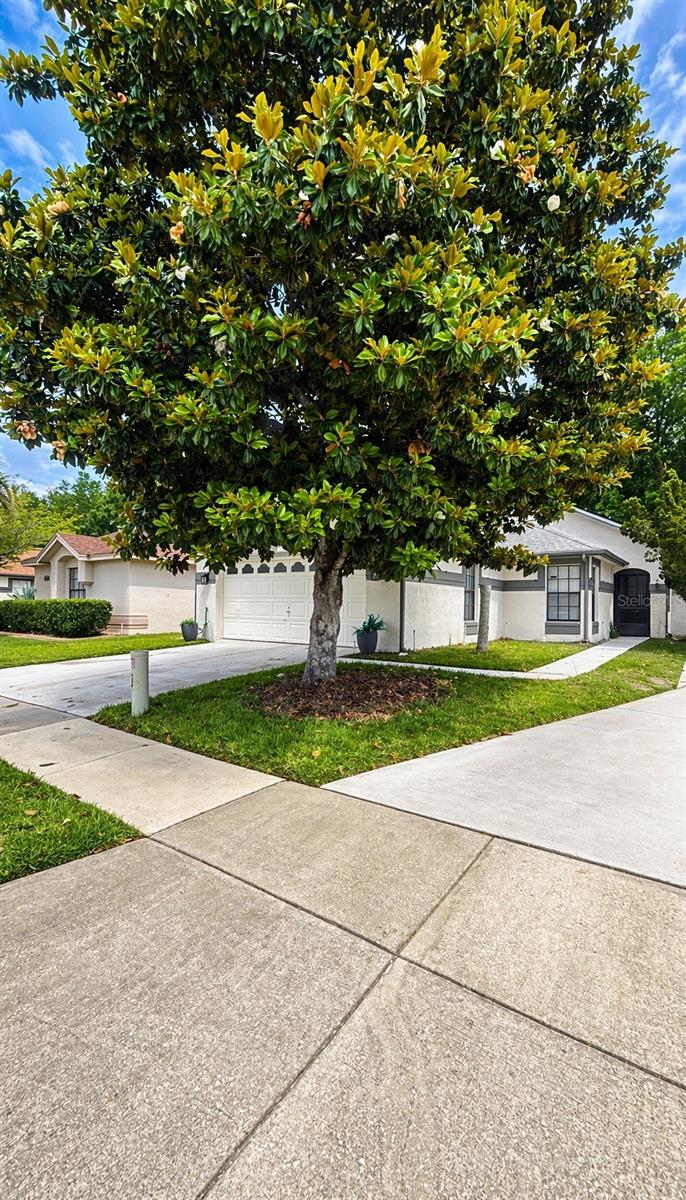 11529 PUMPKIN SEED CT, ORLANDO, FL — photo 3