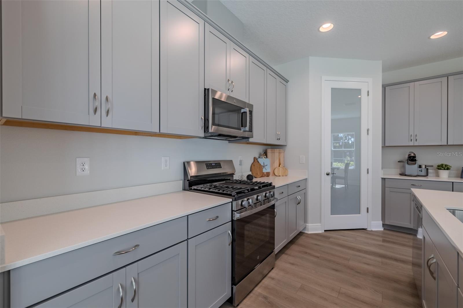 14733 GALLOP RUN DR, LITHIA, FL — photo 10
