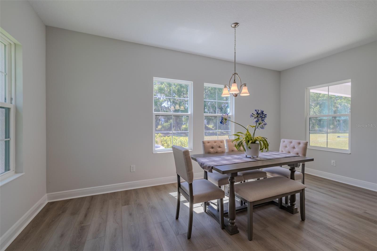 14733 GALLOP RUN DR, LITHIA, FL — photo 11