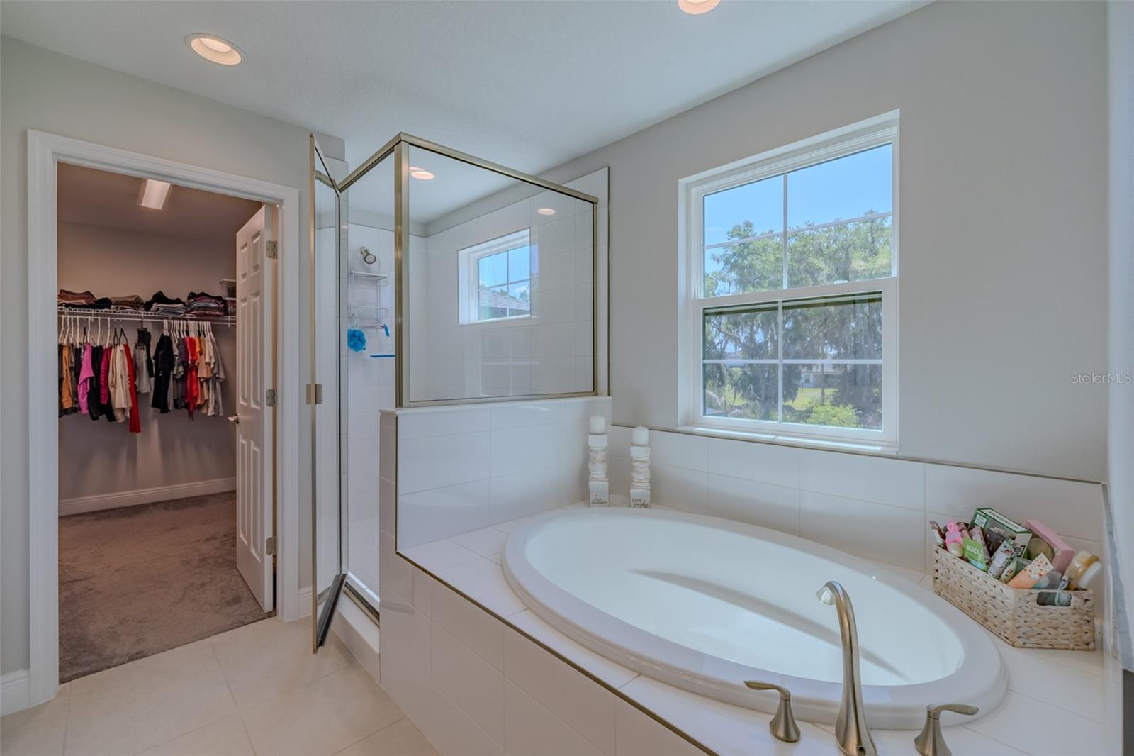 14733 GALLOP RUN DR, LITHIA, FL — photo 27