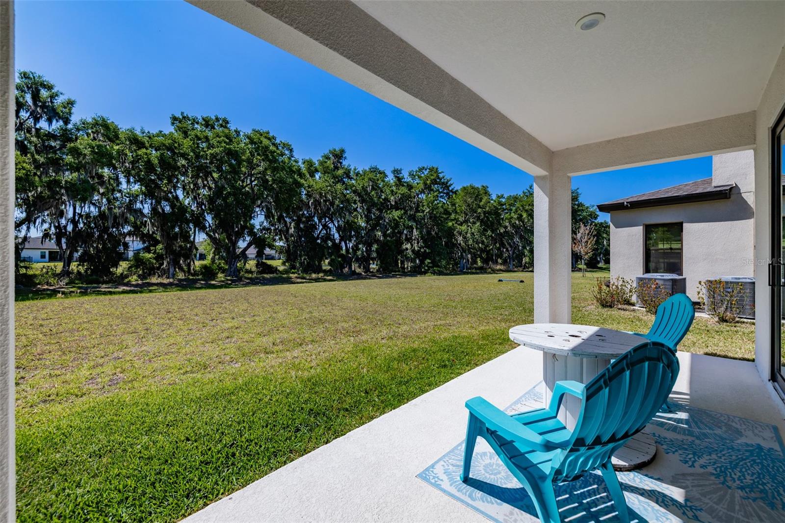 14733 GALLOP RUN DR, LITHIA, FL — photo 47