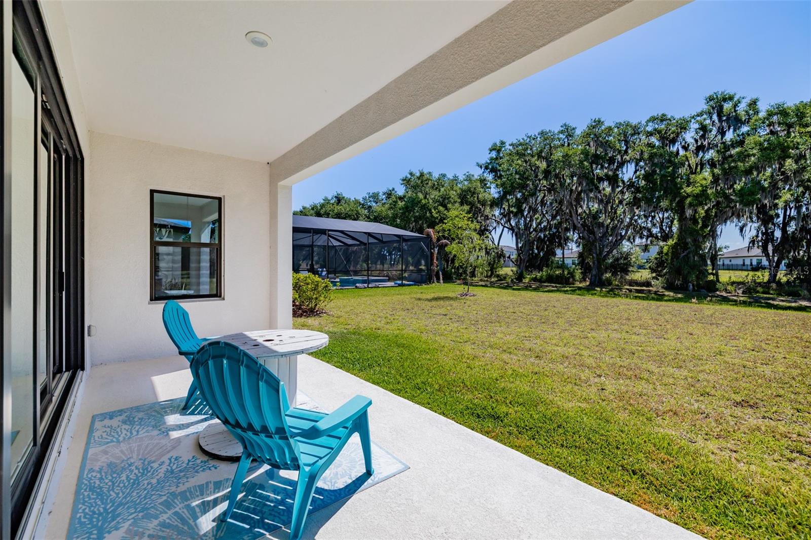 14733 GALLOP RUN DR, LITHIA, FL — photo 48