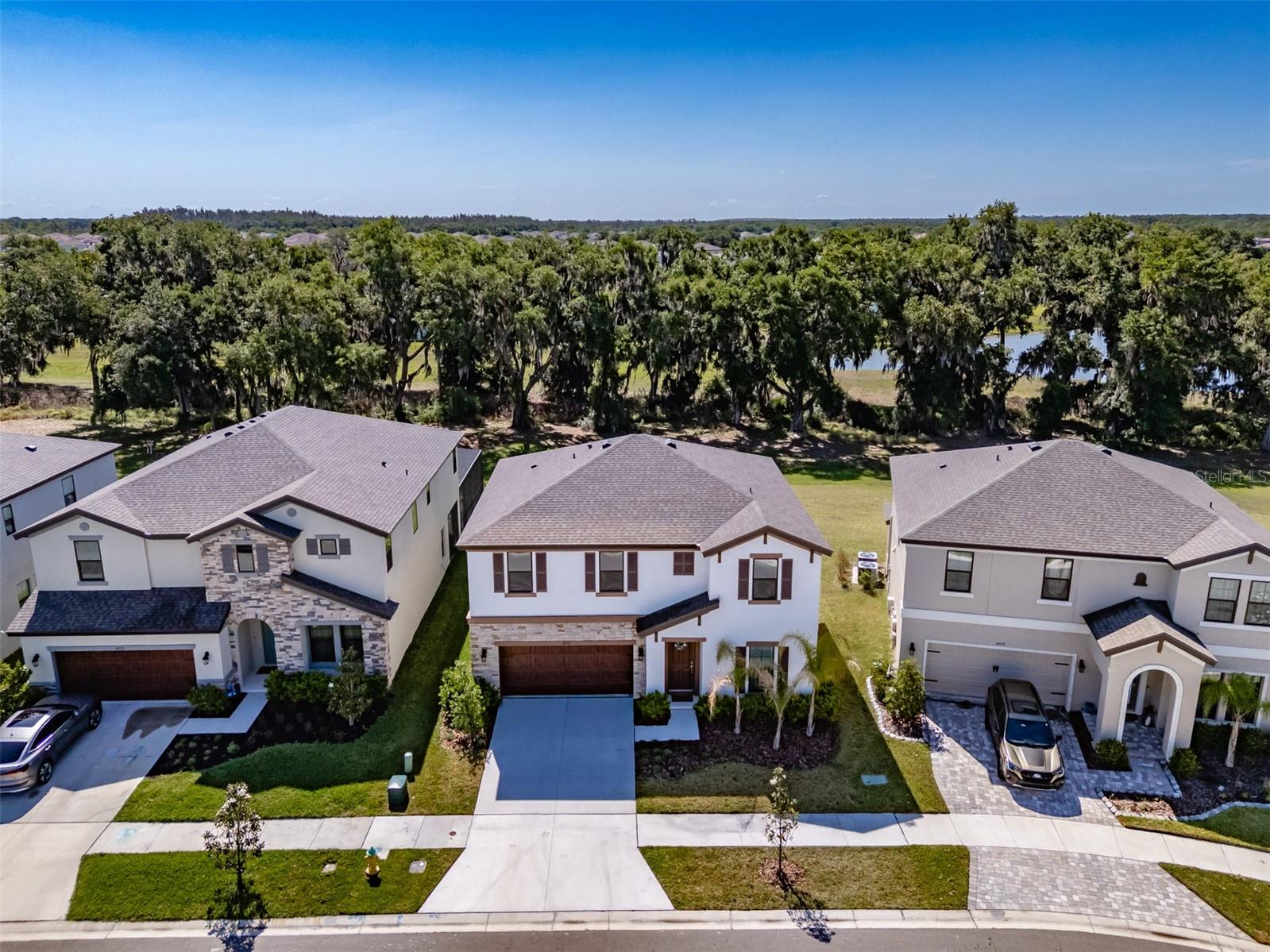 14733 GALLOP RUN DR, LITHIA, FL — photo 52