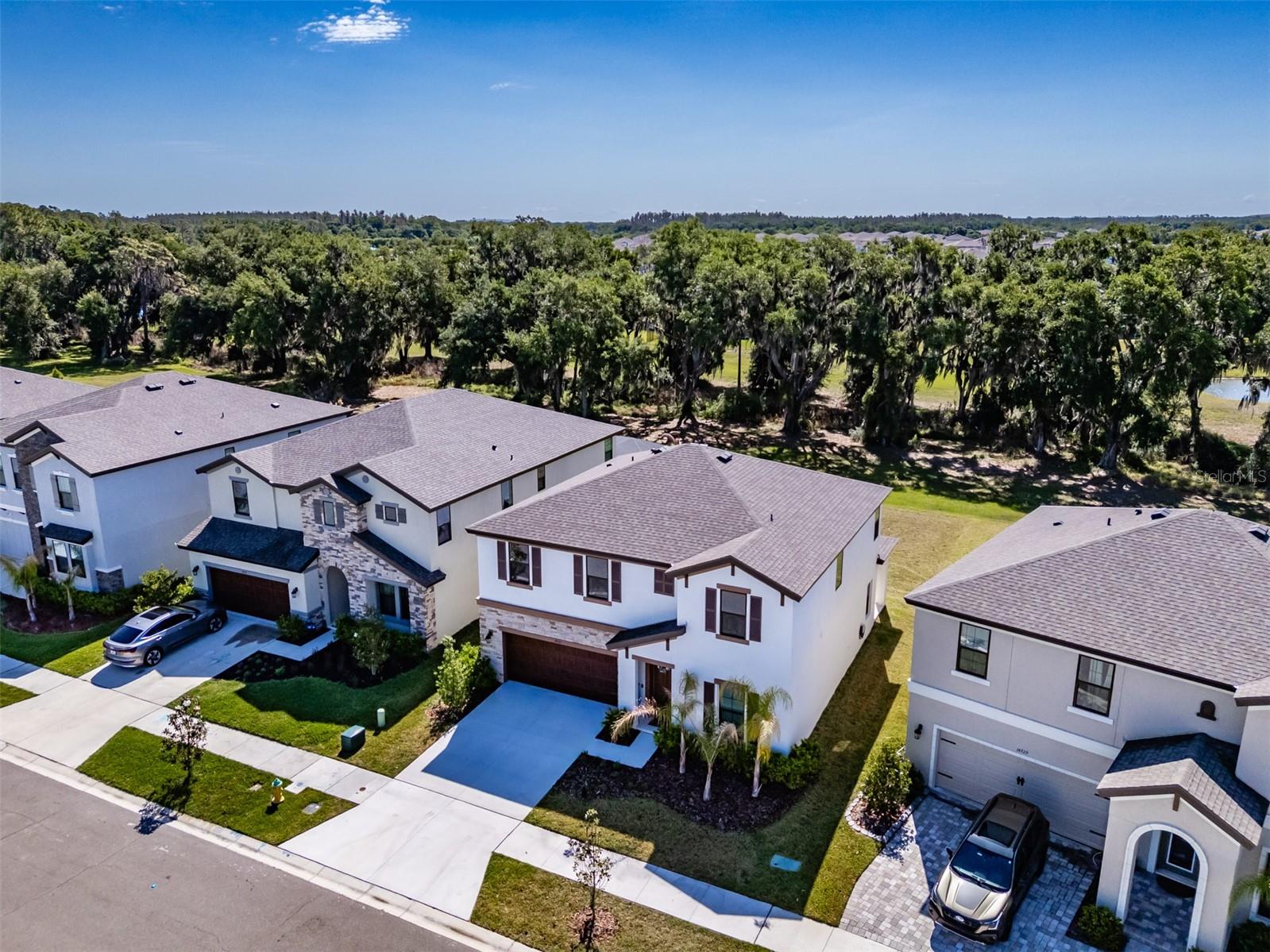 14733 GALLOP RUN DR, LITHIA, FL — photo 53