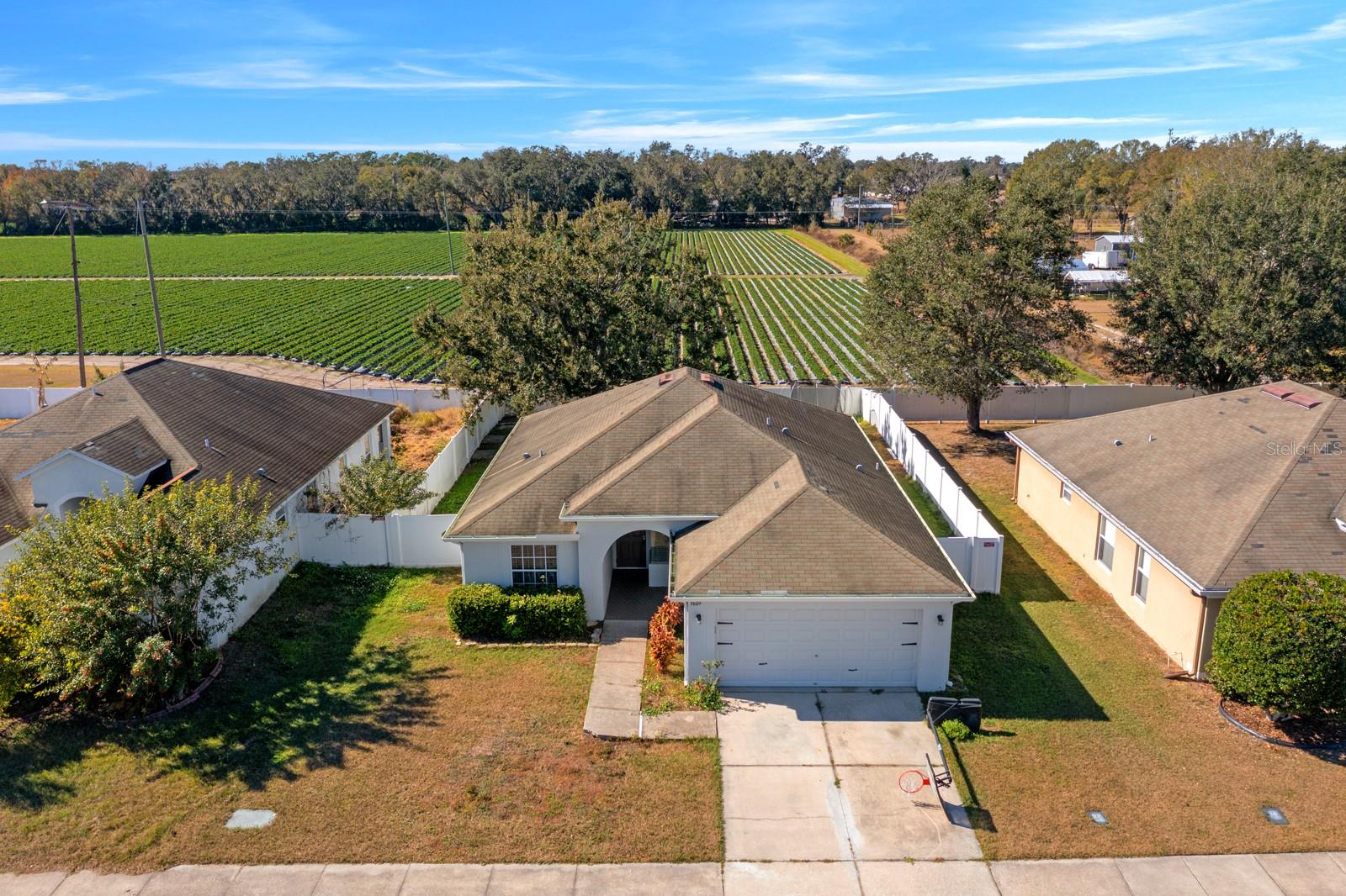 3609 TRAPNELL GROVE LOOP, PLANT CITY, FL — photo 3