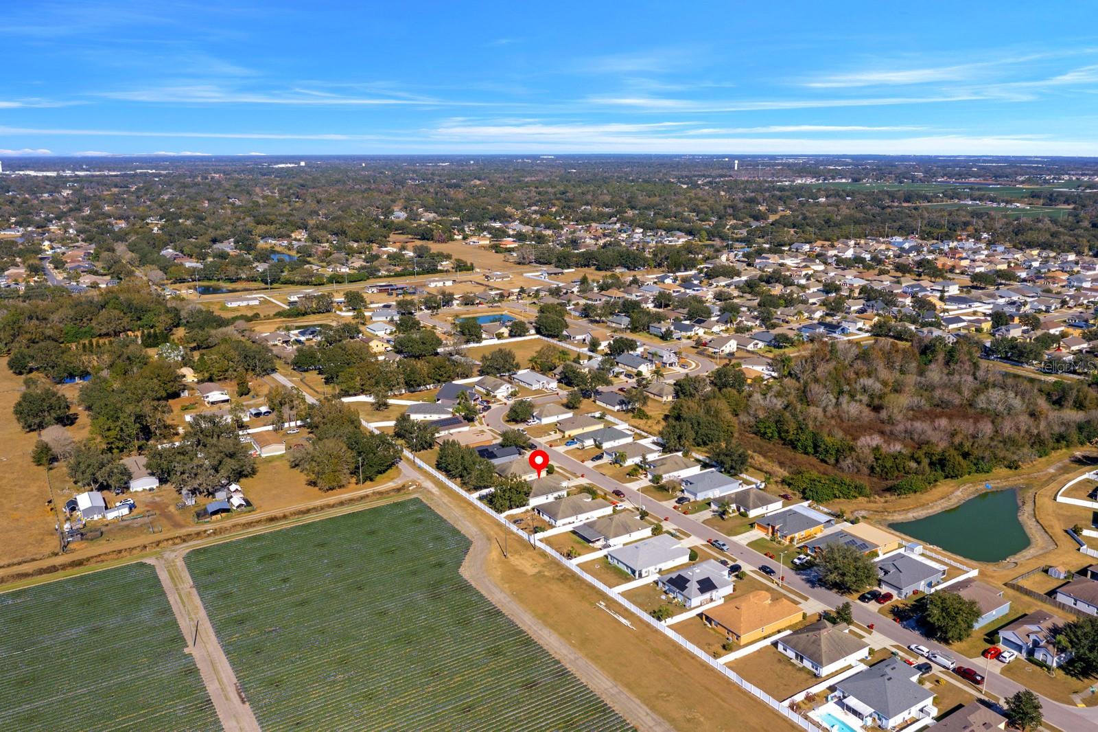 3609 TRAPNELL GROVE LOOP, PLANT CITY, FL — photo 8
