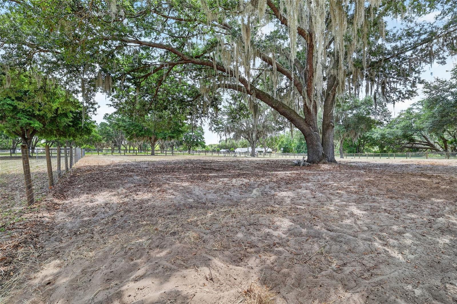 11241 EM EN EL GROVE RD, LEESBURG, FL — photo 105