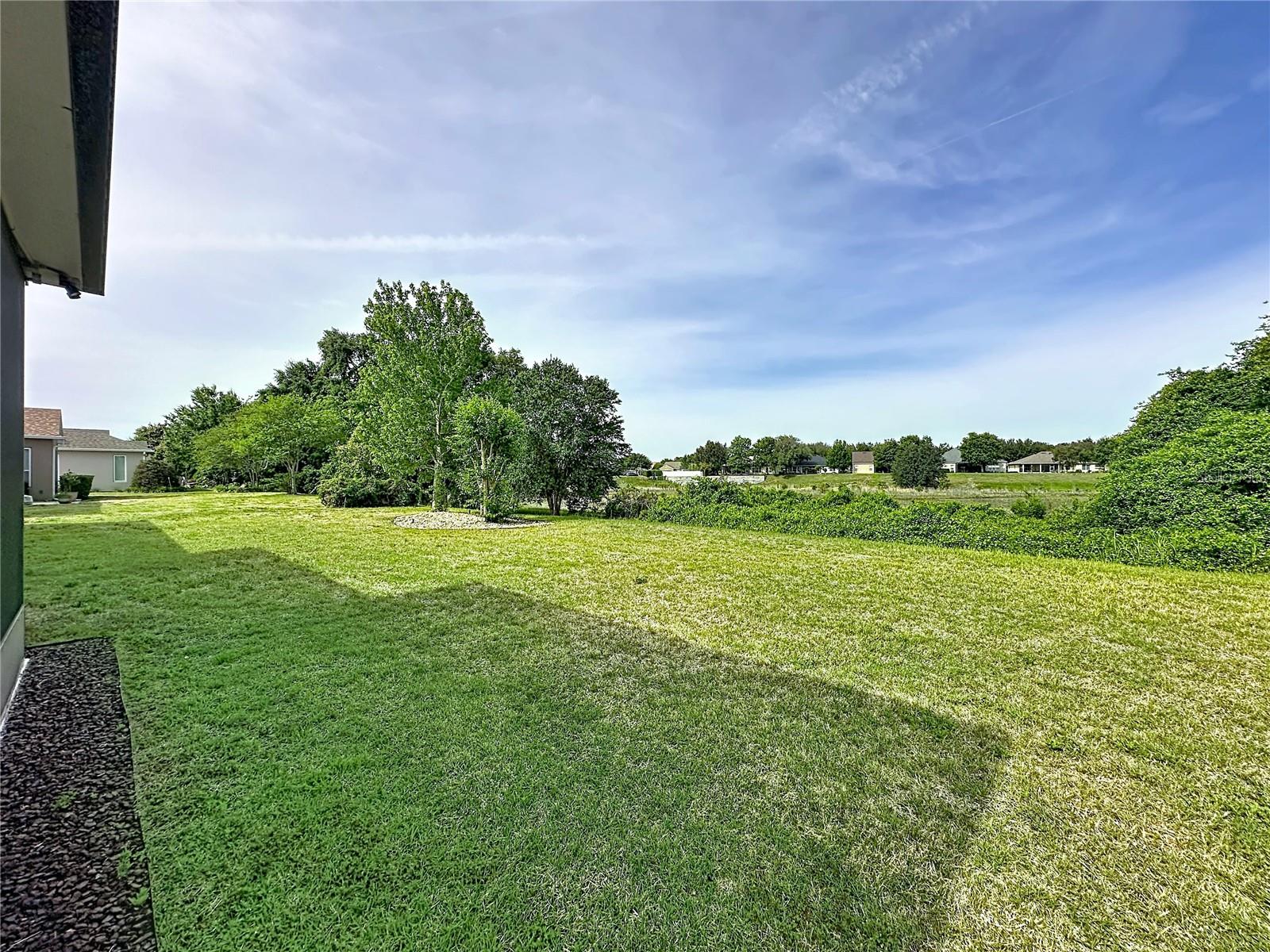 364 SALT MARSH LN, GROVELAND, FL — photo 134