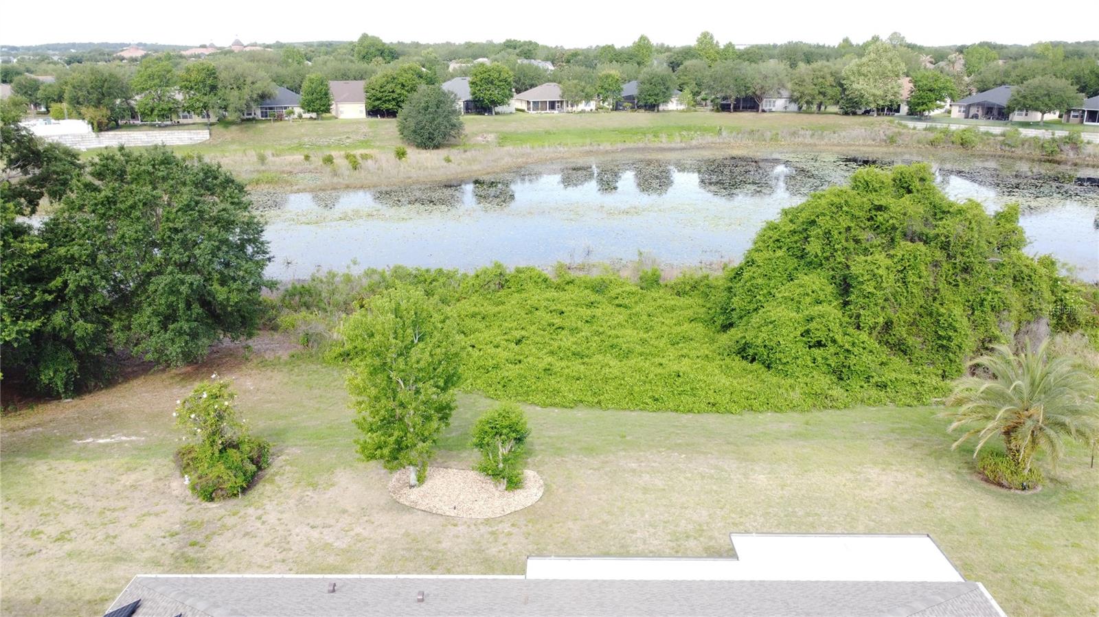 364 SALT MARSH LN, GROVELAND, FL — photo 135