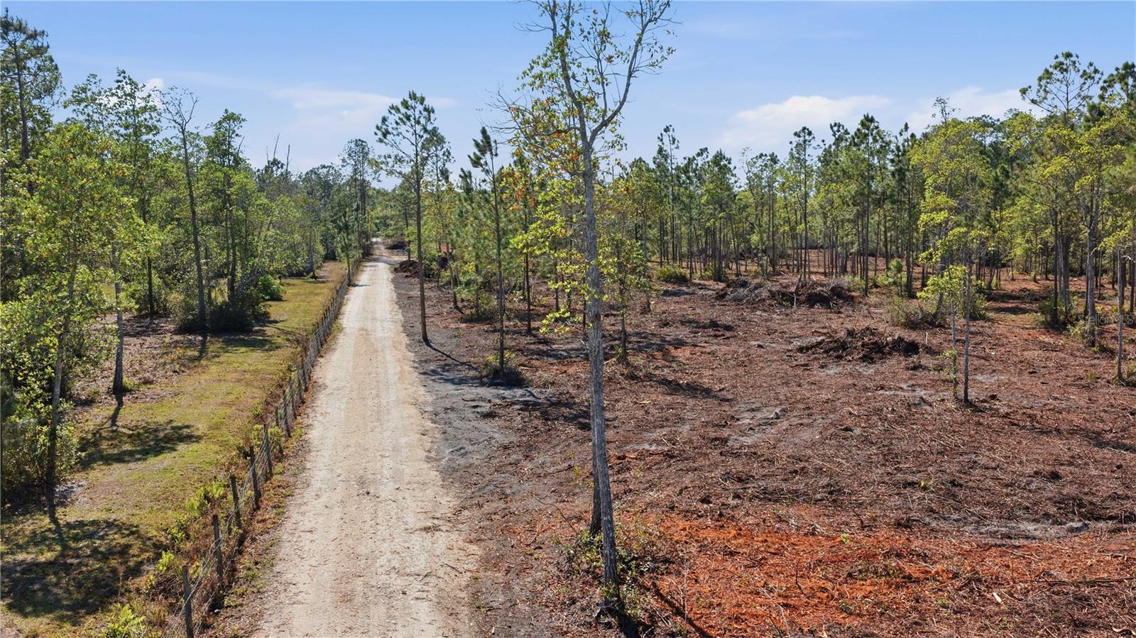 TBD NE 125TH AVE, FORT MC COY, FL — photo 3