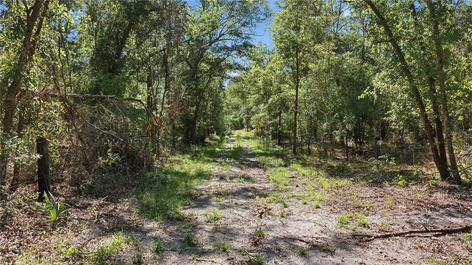 TBD NE 125TH AVE, FORT MC COY, FL — photo 5