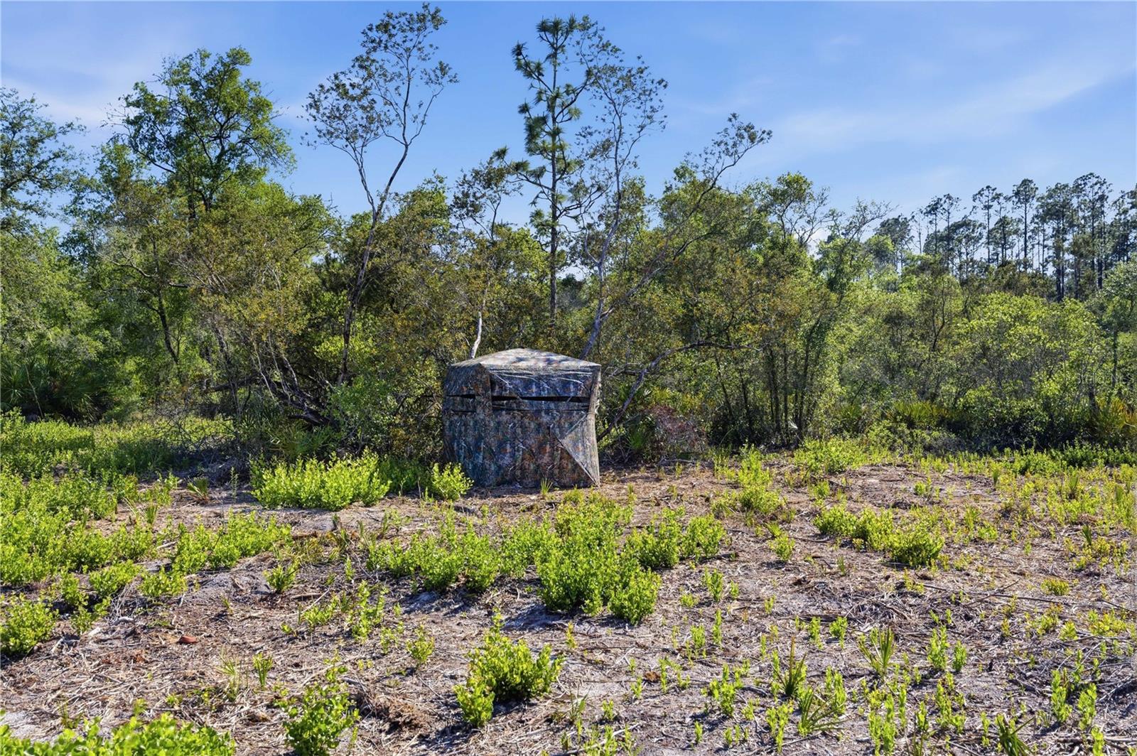 TBD NE 125TH AVE, FORT MC COY, FL — photo 7