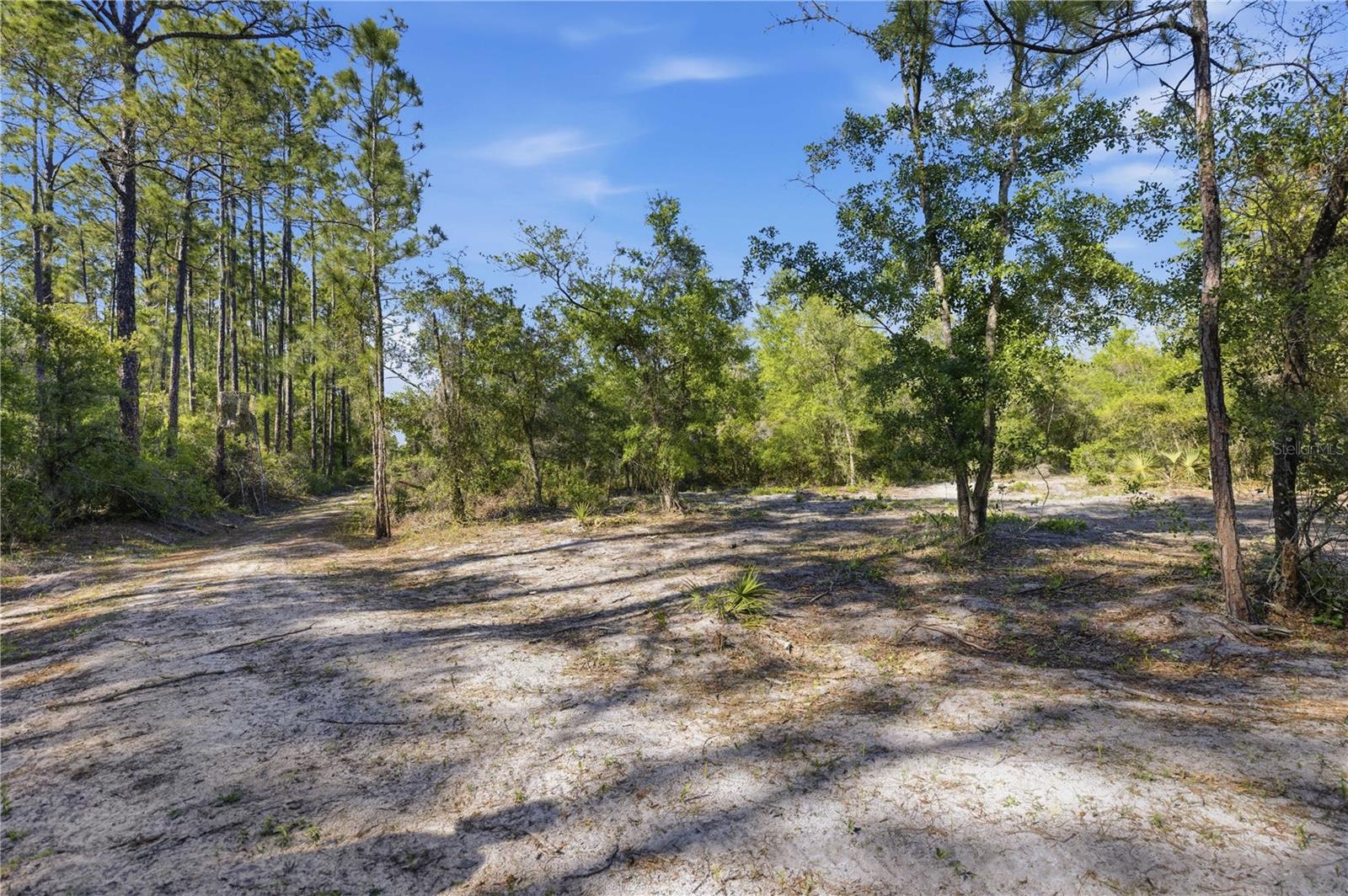 TBD NE 125TH AVE, FORT MC COY, FL — photo 11