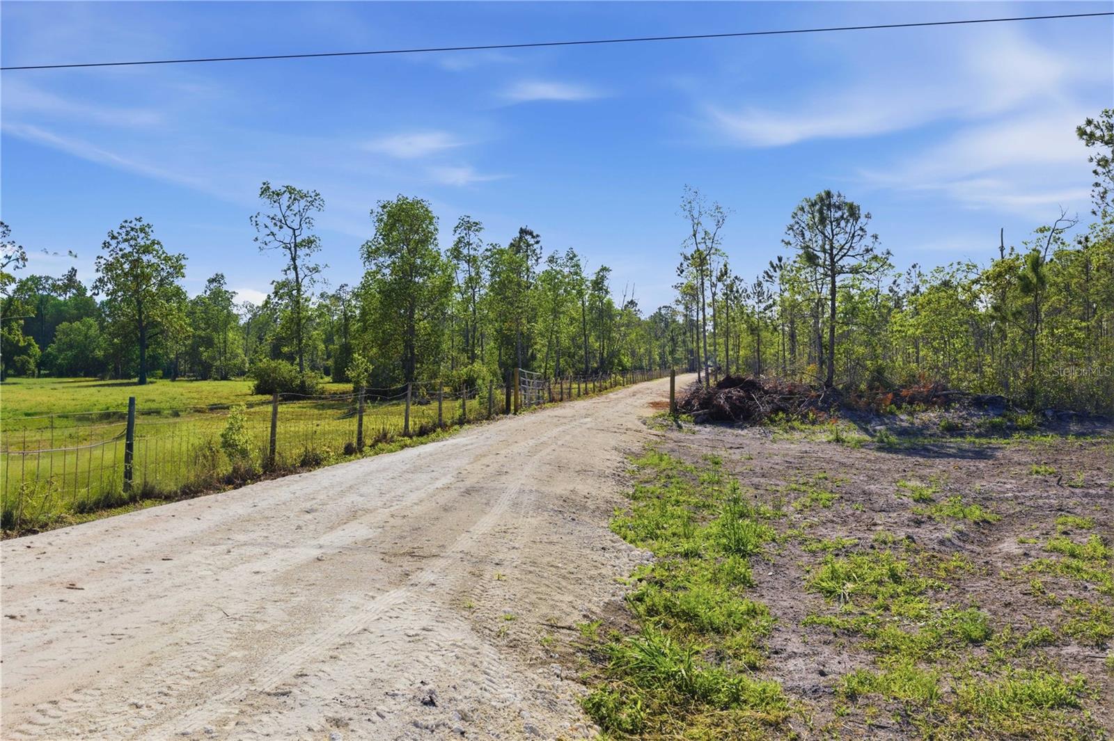 TBD NE 125TH AVE, FORT MC COY, FL — photo 13