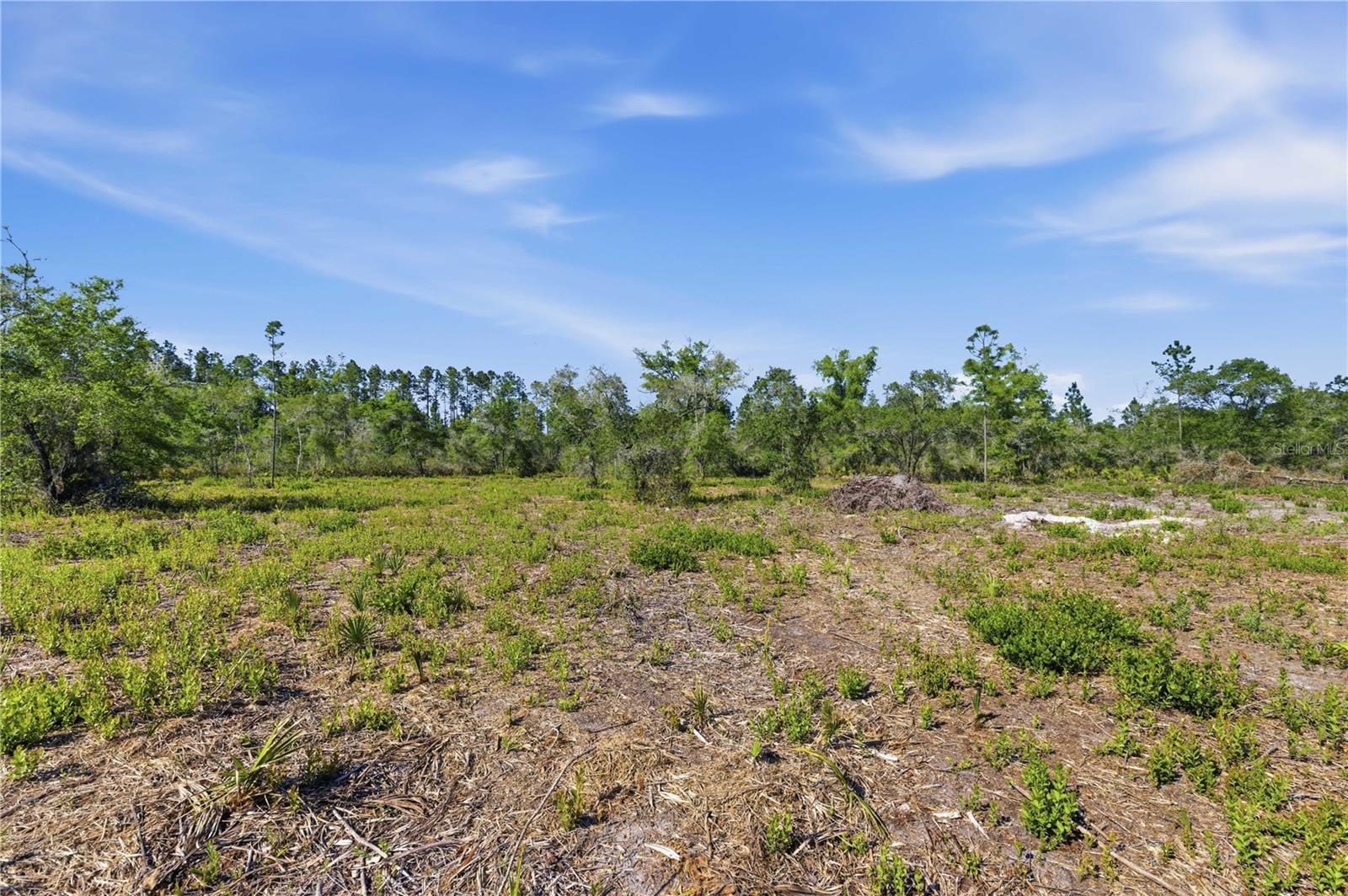 TBD NE 125TH AVE, FORT MC COY, FL — photo 14