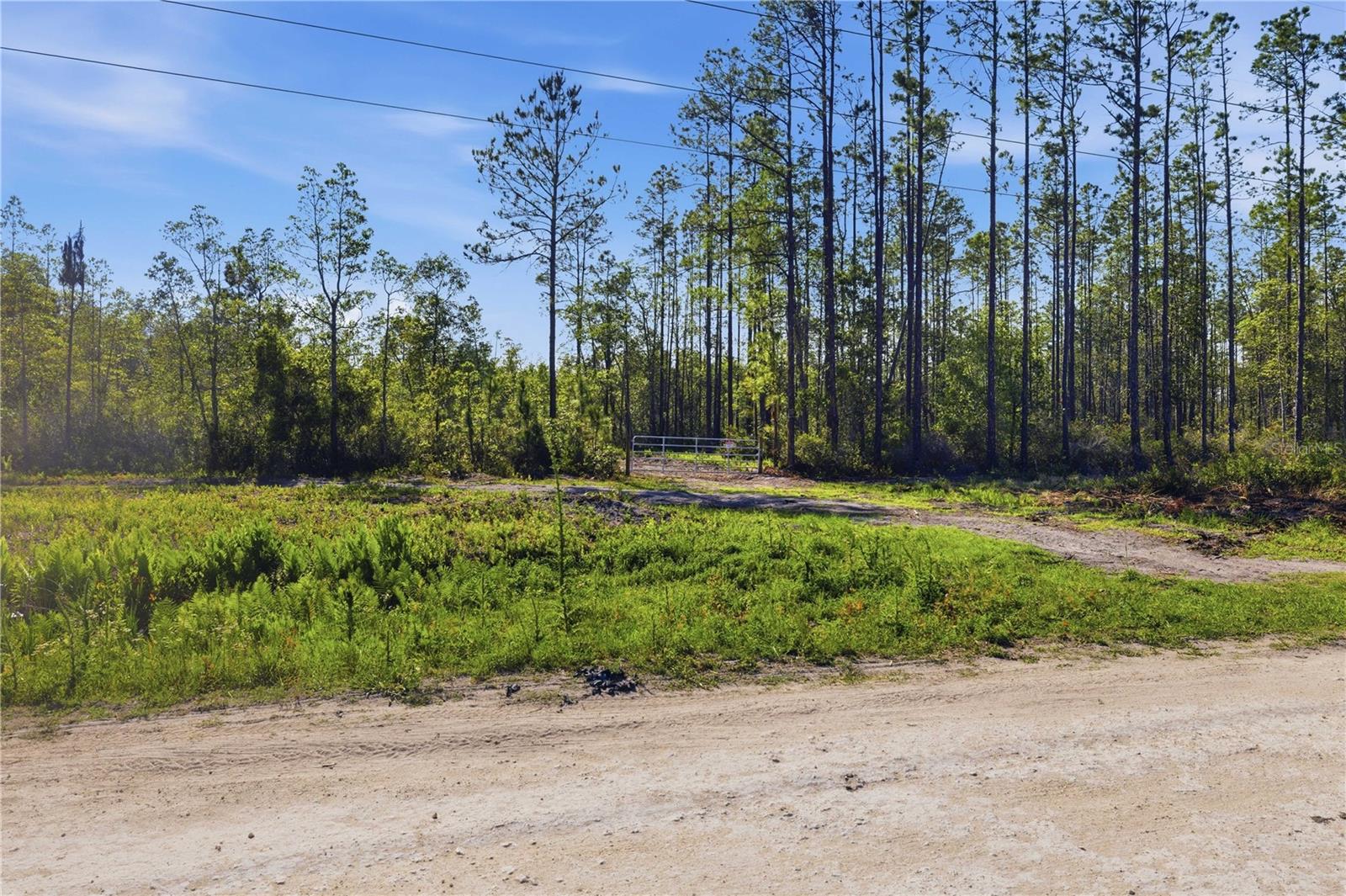 TBD NE 125TH AVE, FORT MC COY, FL — photo 16