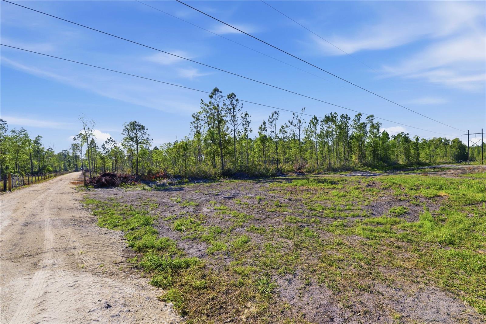 TBD NE 125TH AVE, FORT MC COY, FL — photo 18