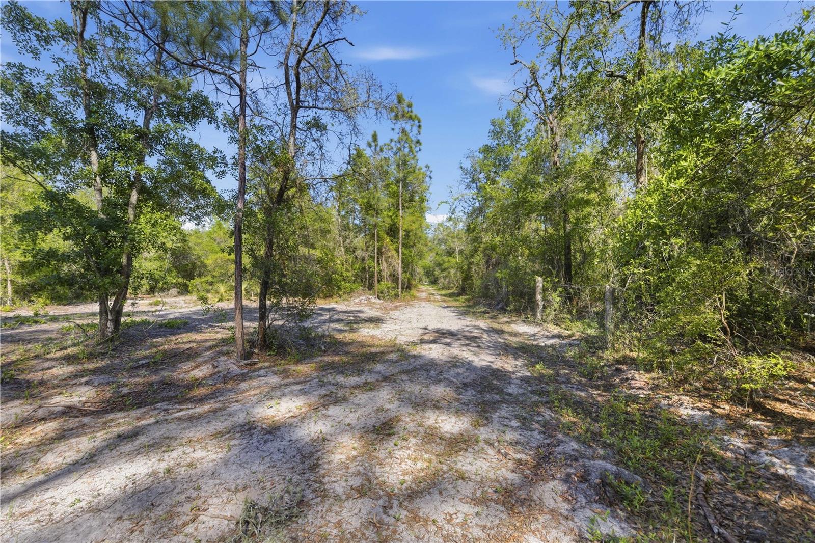 TBD NE 125TH AVE, FORT MC COY, FL — photo 19