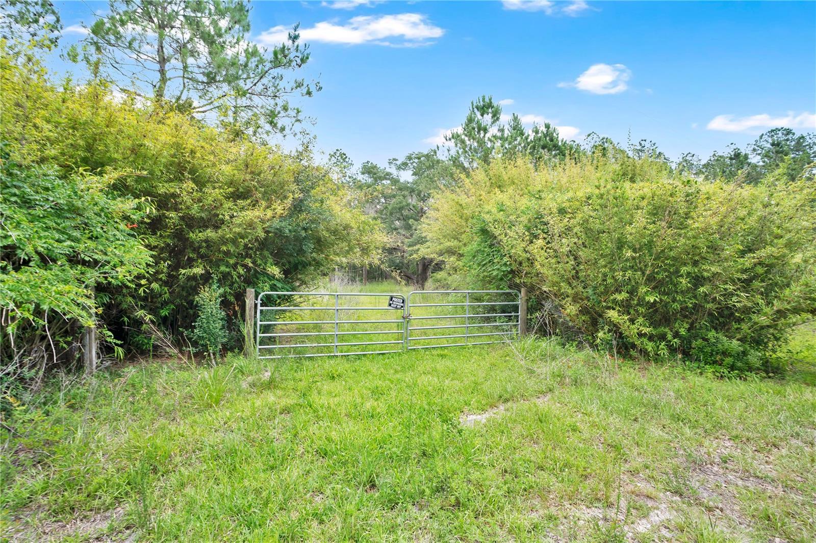 7831 NE 132ND PL, CITRA, FL