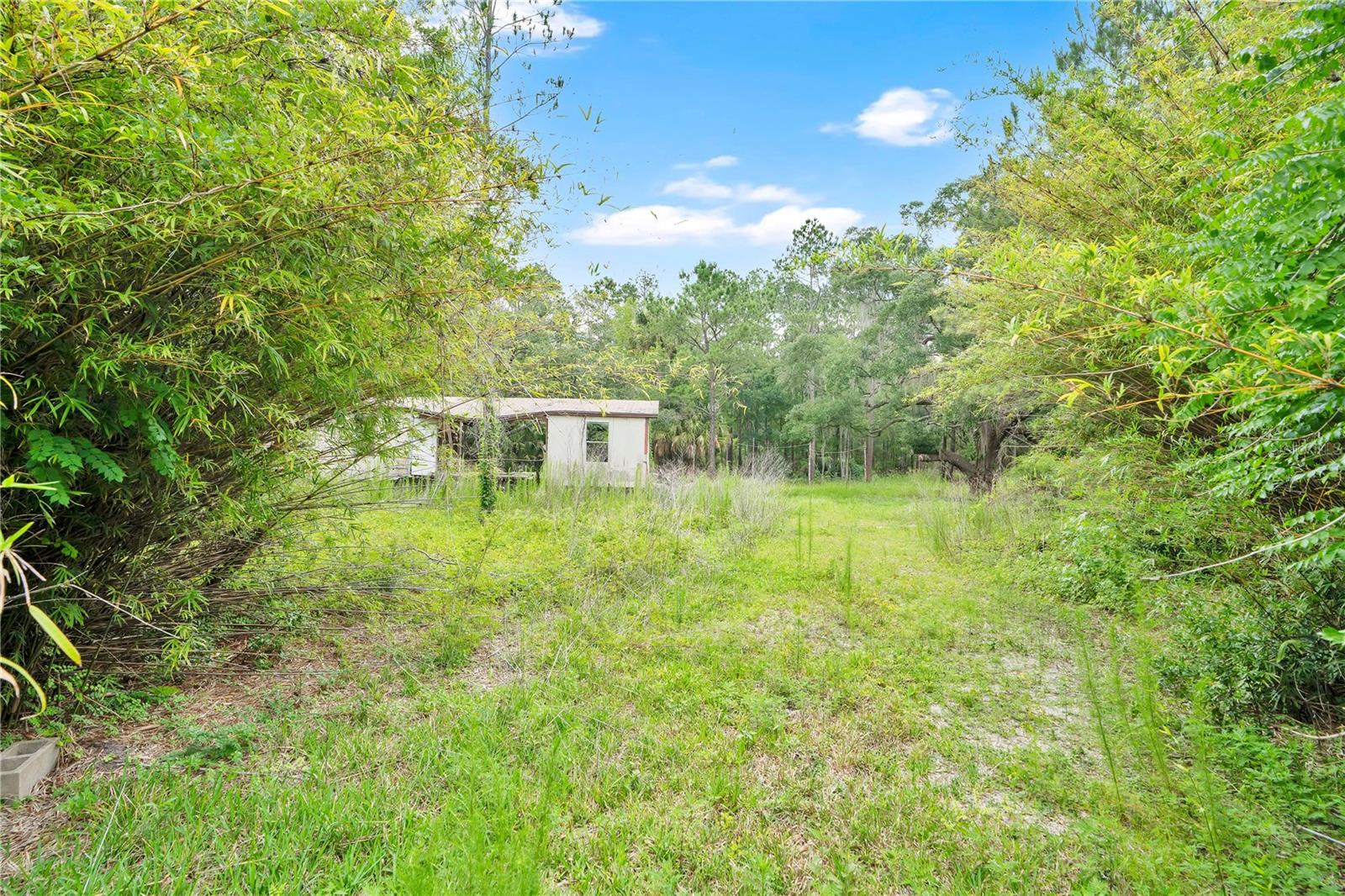7831 NE 132ND PL, CITRA, FL — photo 2