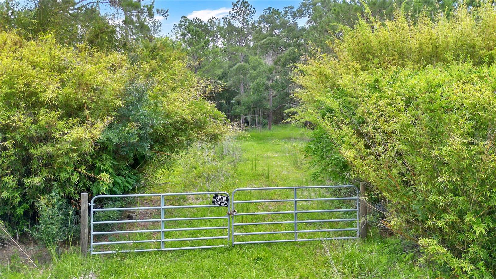 7831 NE 132ND PL, CITRA, FL — photo 3