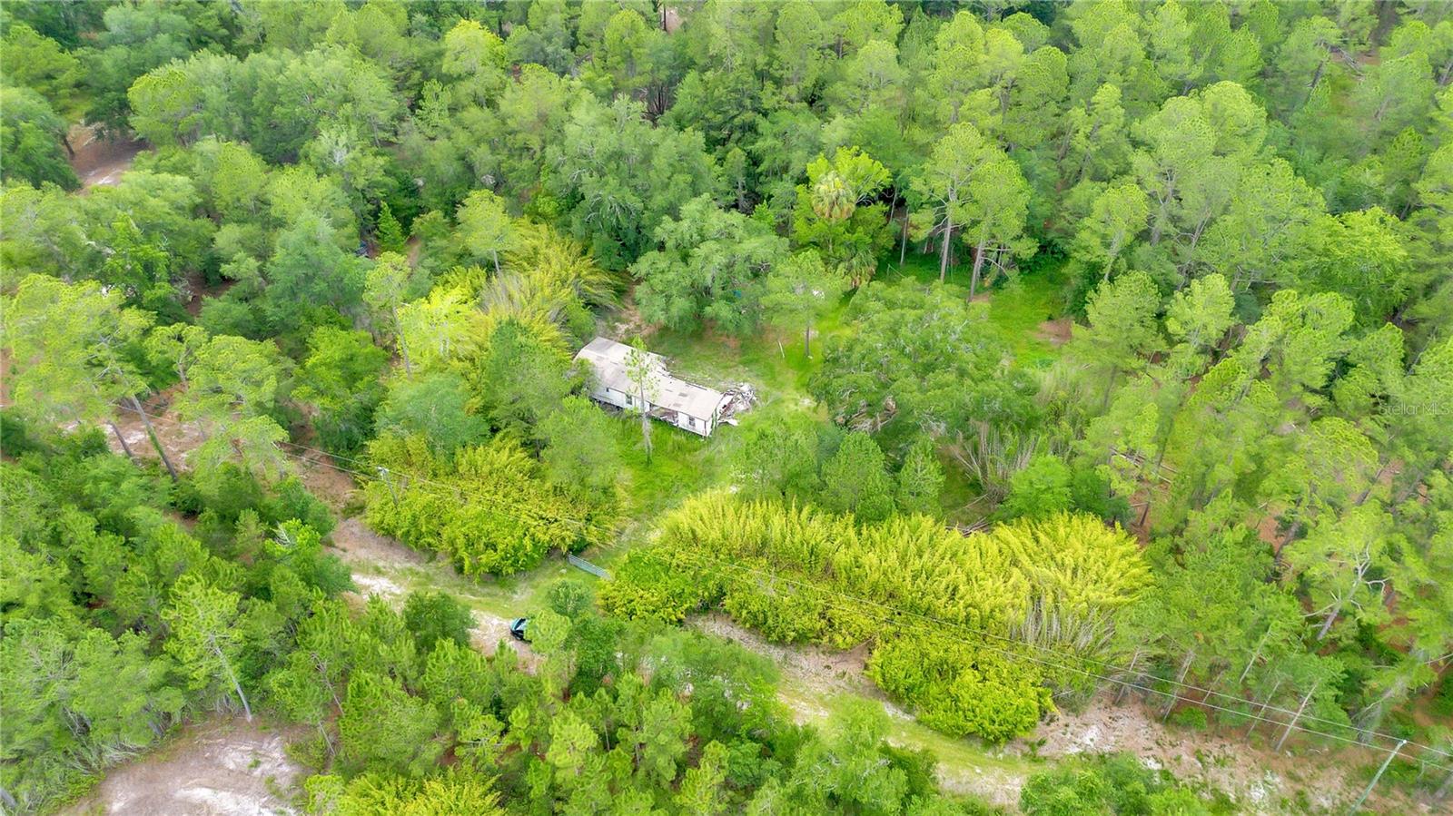 7831 NE 132ND PL, CITRA, FL — photo 4