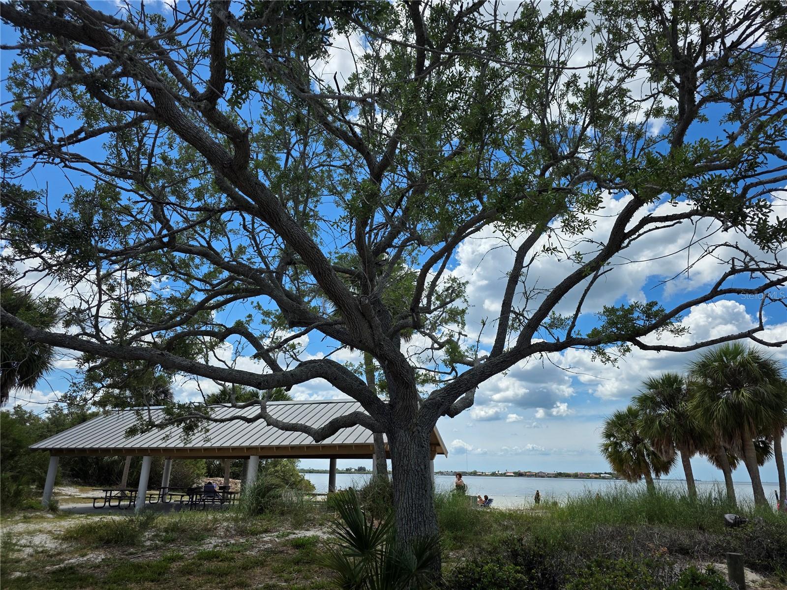 4366 SUMMERSUN DR, NEW PORT RICHEY, FL — photo 45