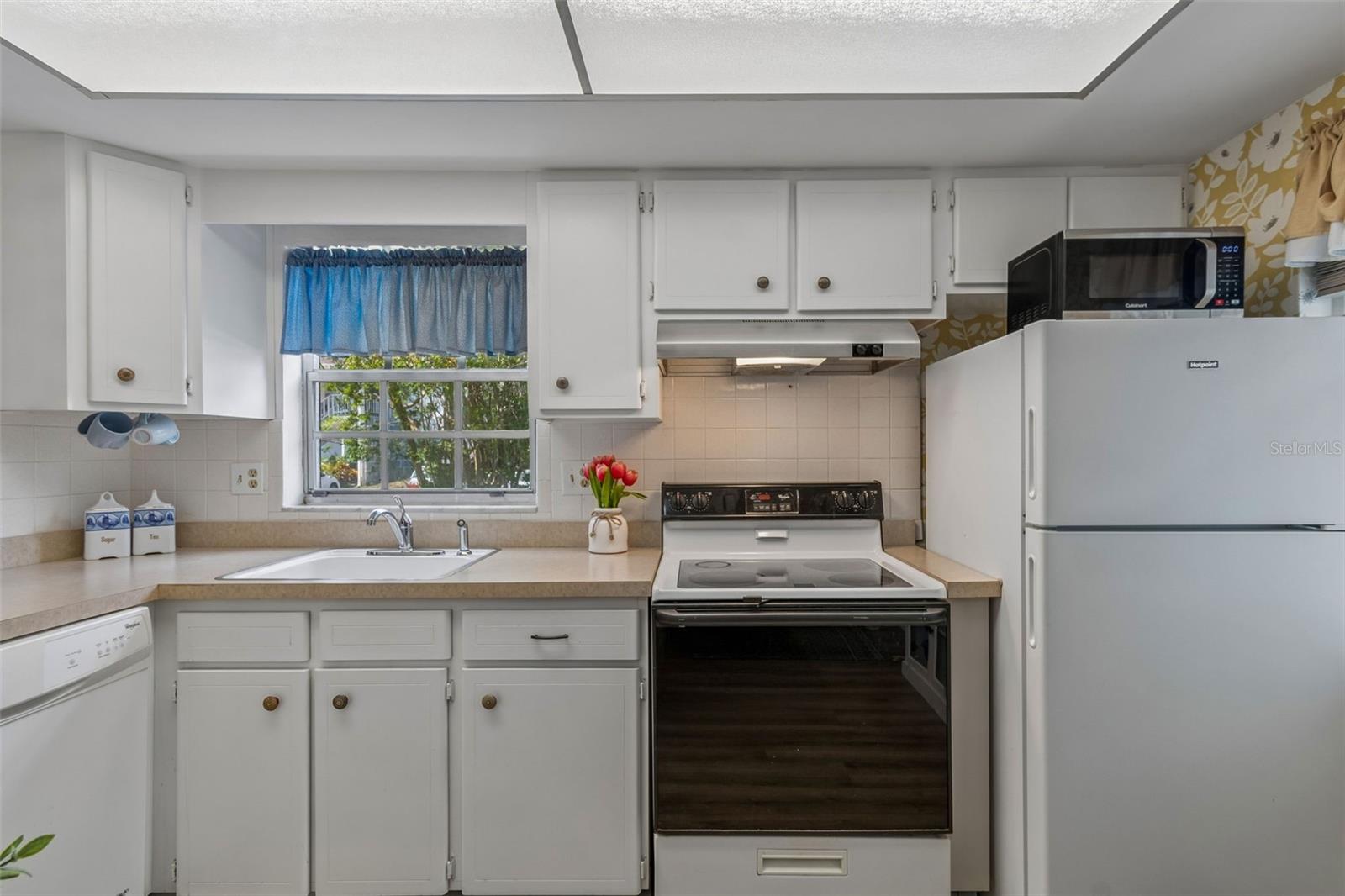 200 GLENNES LN #112, DUNEDIN, FL — photo 5