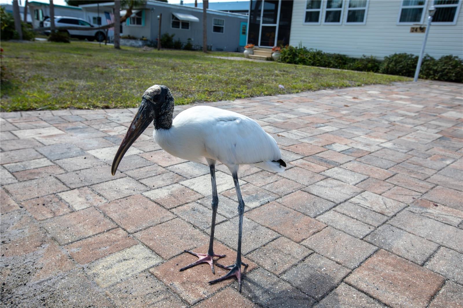 2465 HERON DR, ENGLEWOOD, FL — photo 5
