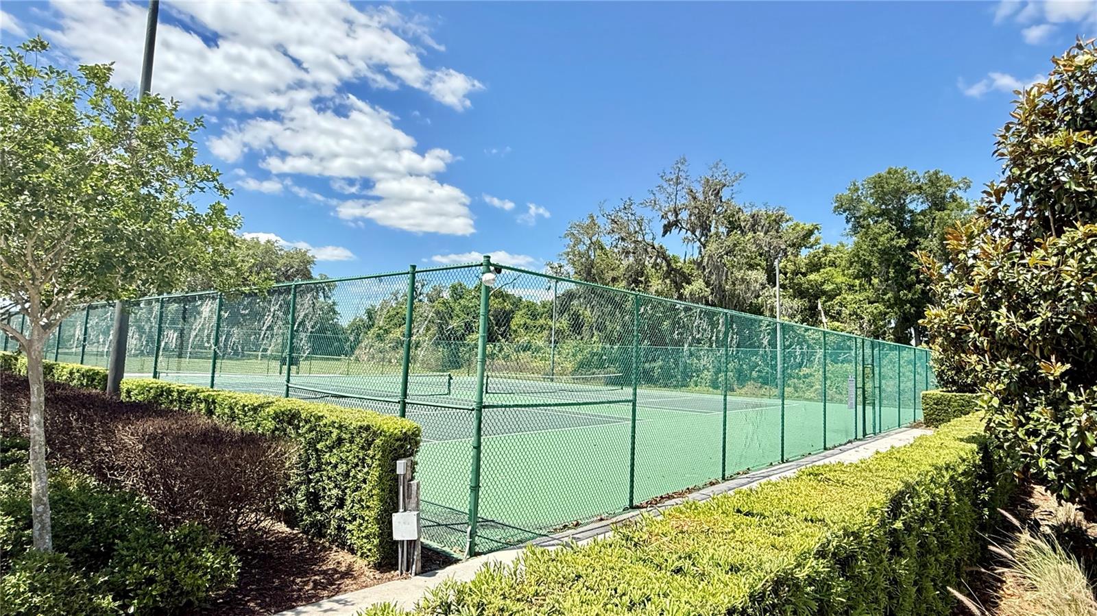 2675 CANDIED APPLE ALY, KISSIMMEE, FL — photo 41