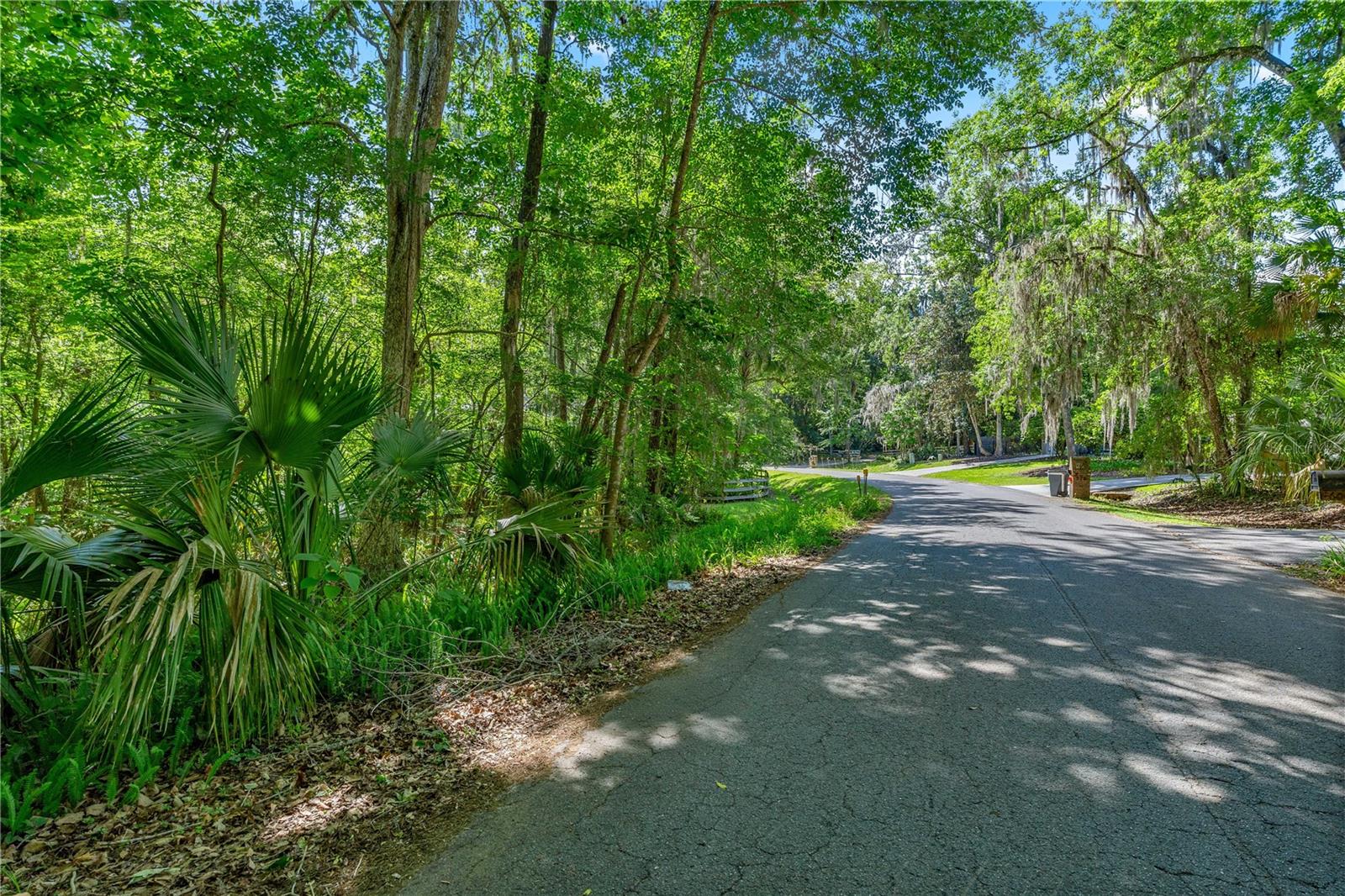 SW 45TH ST, OCALA, FL — photo 3