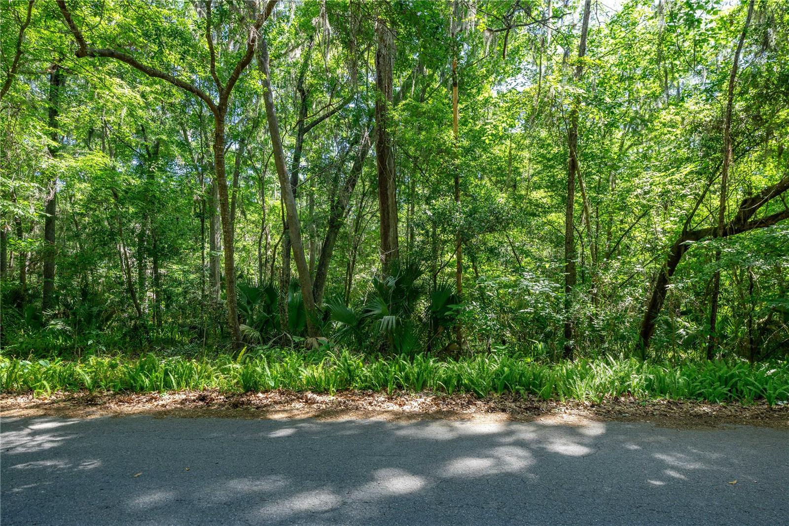 SW 45TH ST, OCALA, FL — photo 4