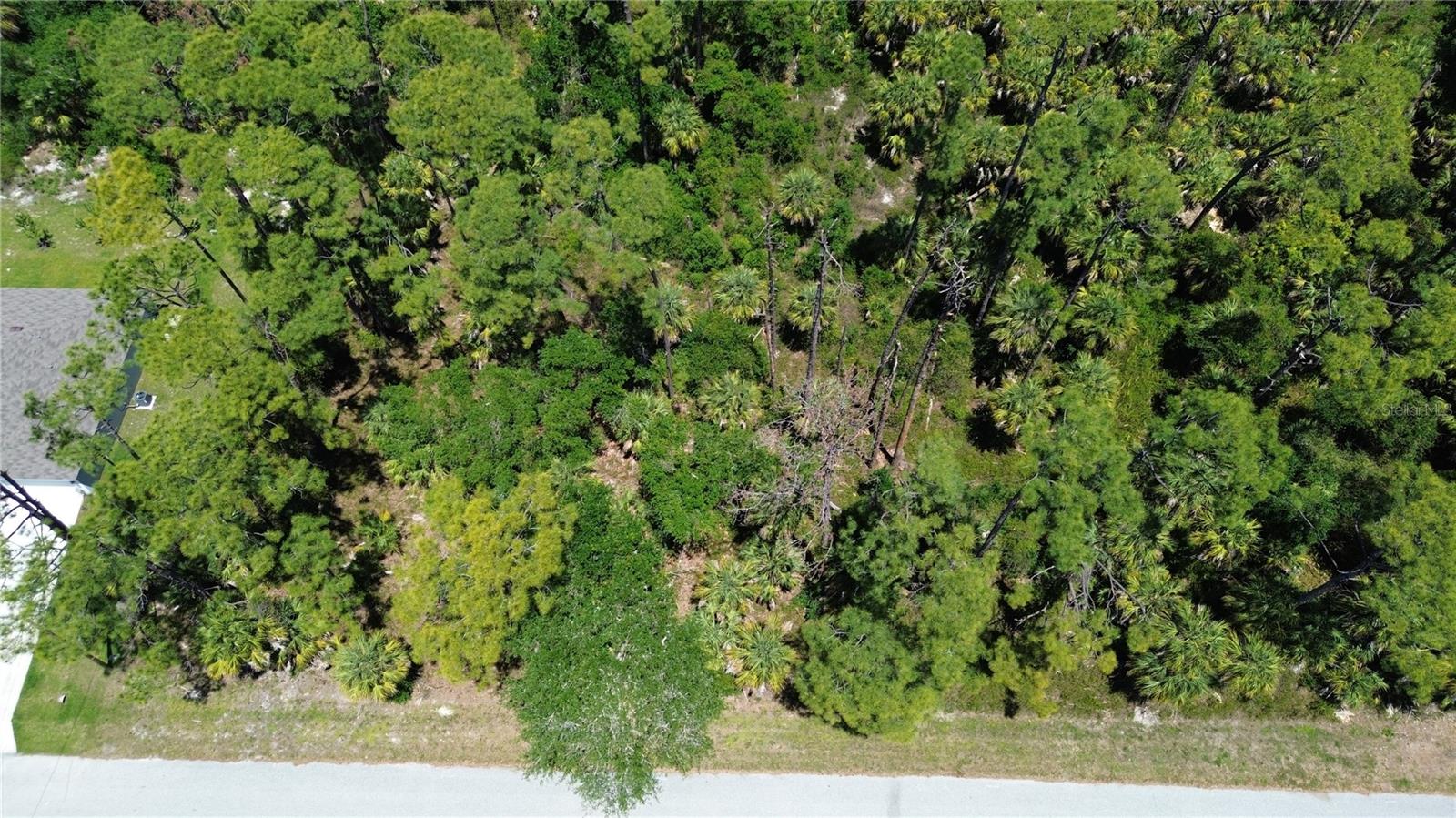 18126 DILLON AVE, PORT CHARLOTTE, FL — photo 3