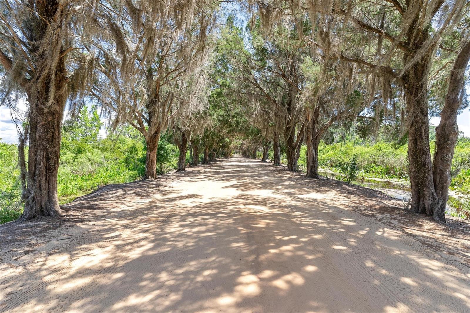 7373 CIRCLE DR, LADY LAKE, FL — photo 9