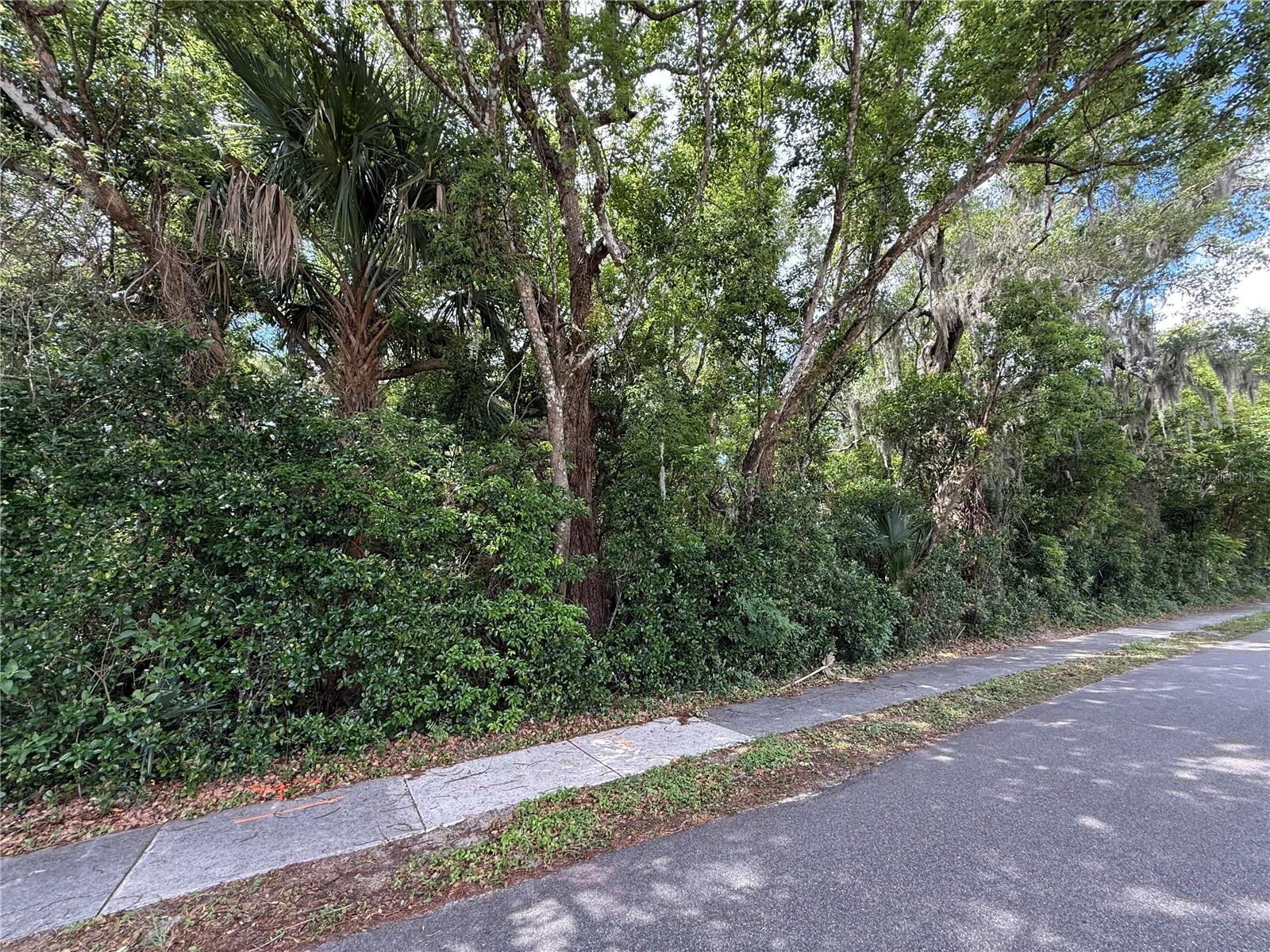TBD KING AVE, ZELLWOOD, FL