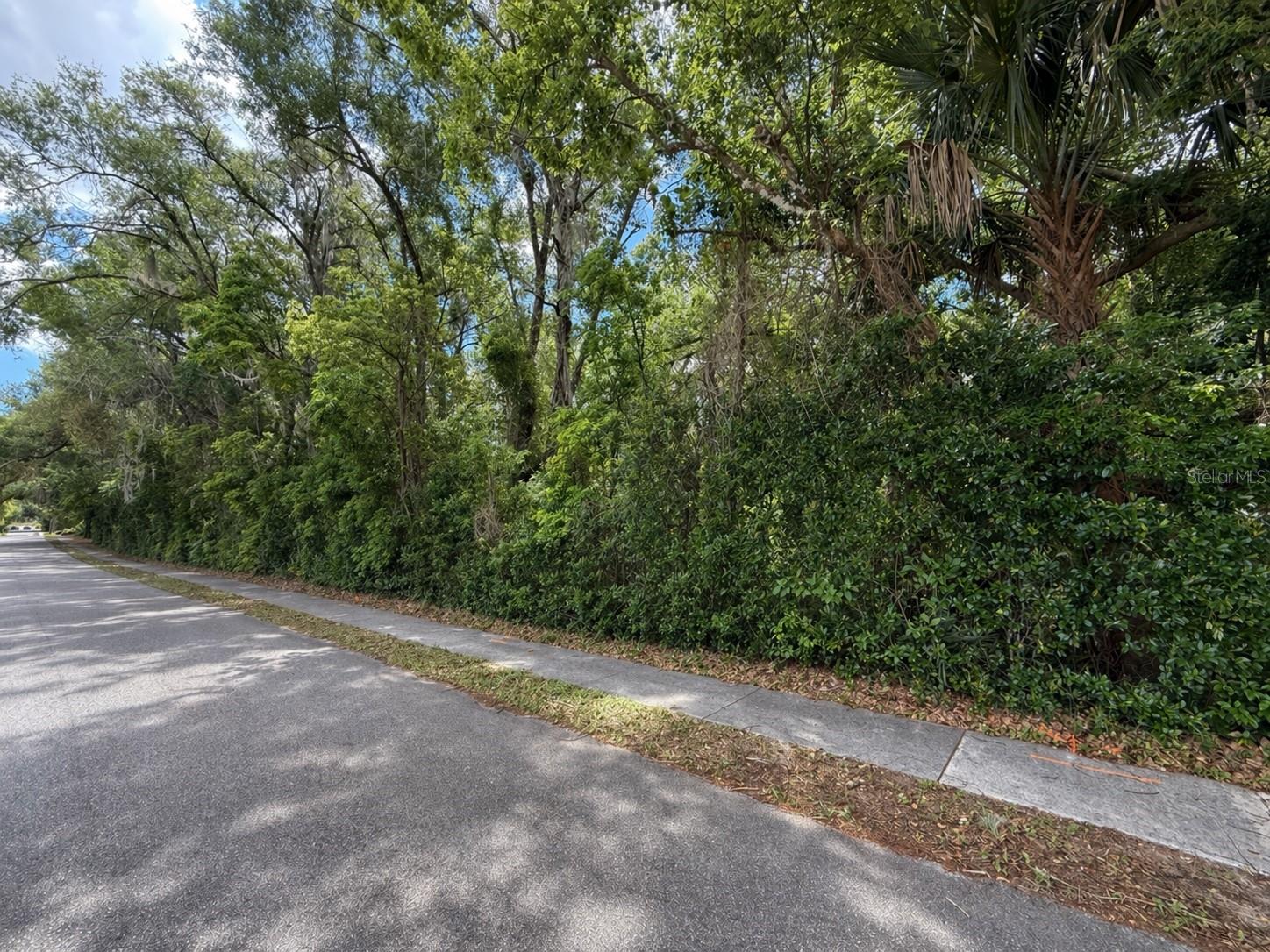 TBD KING AVE, ZELLWOOD, FL — photo 2
