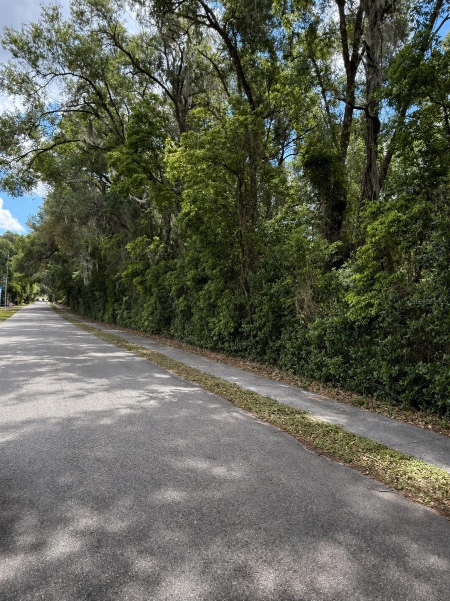 TBD KING AVE, ZELLWOOD, FL — photo 3