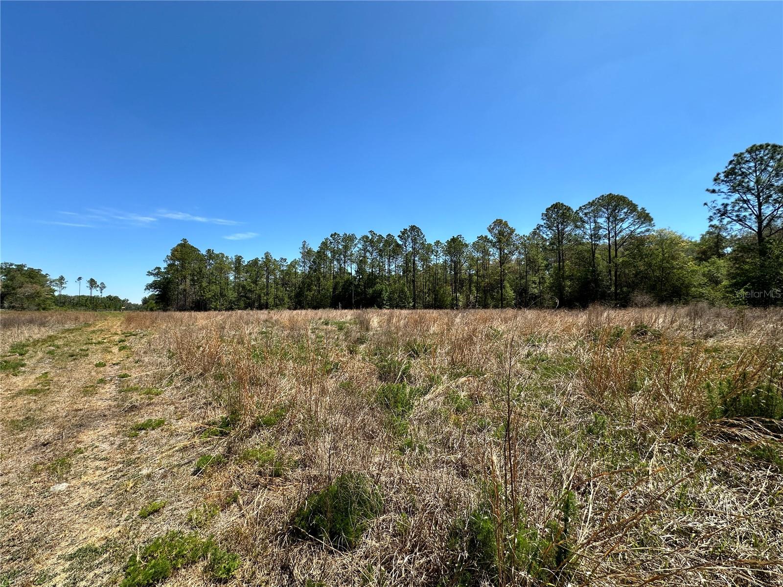 TBD NE 128TH LN, BRONSON, FL