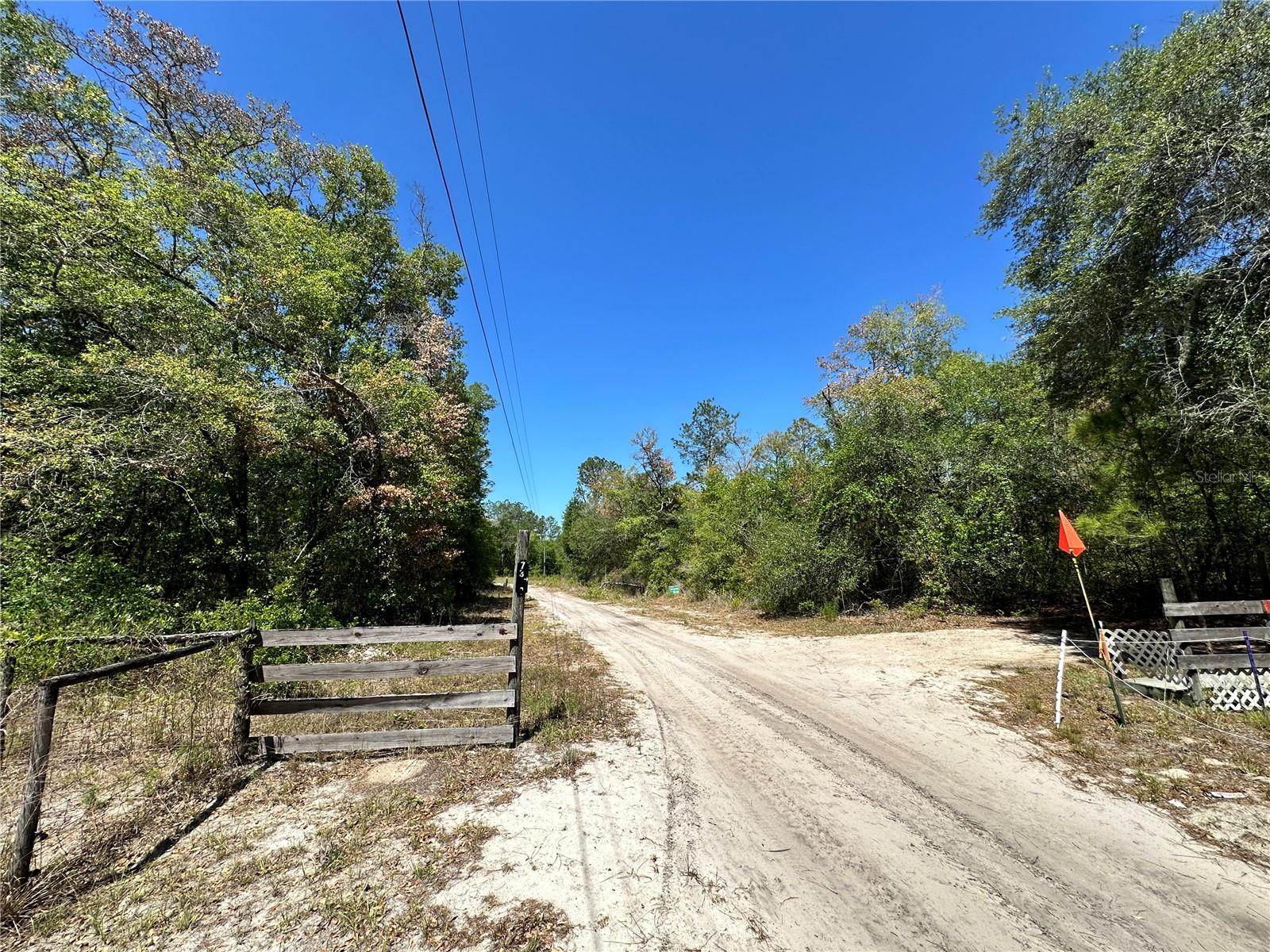 TBD NE 128TH LN, BRONSON, FL — photo 7